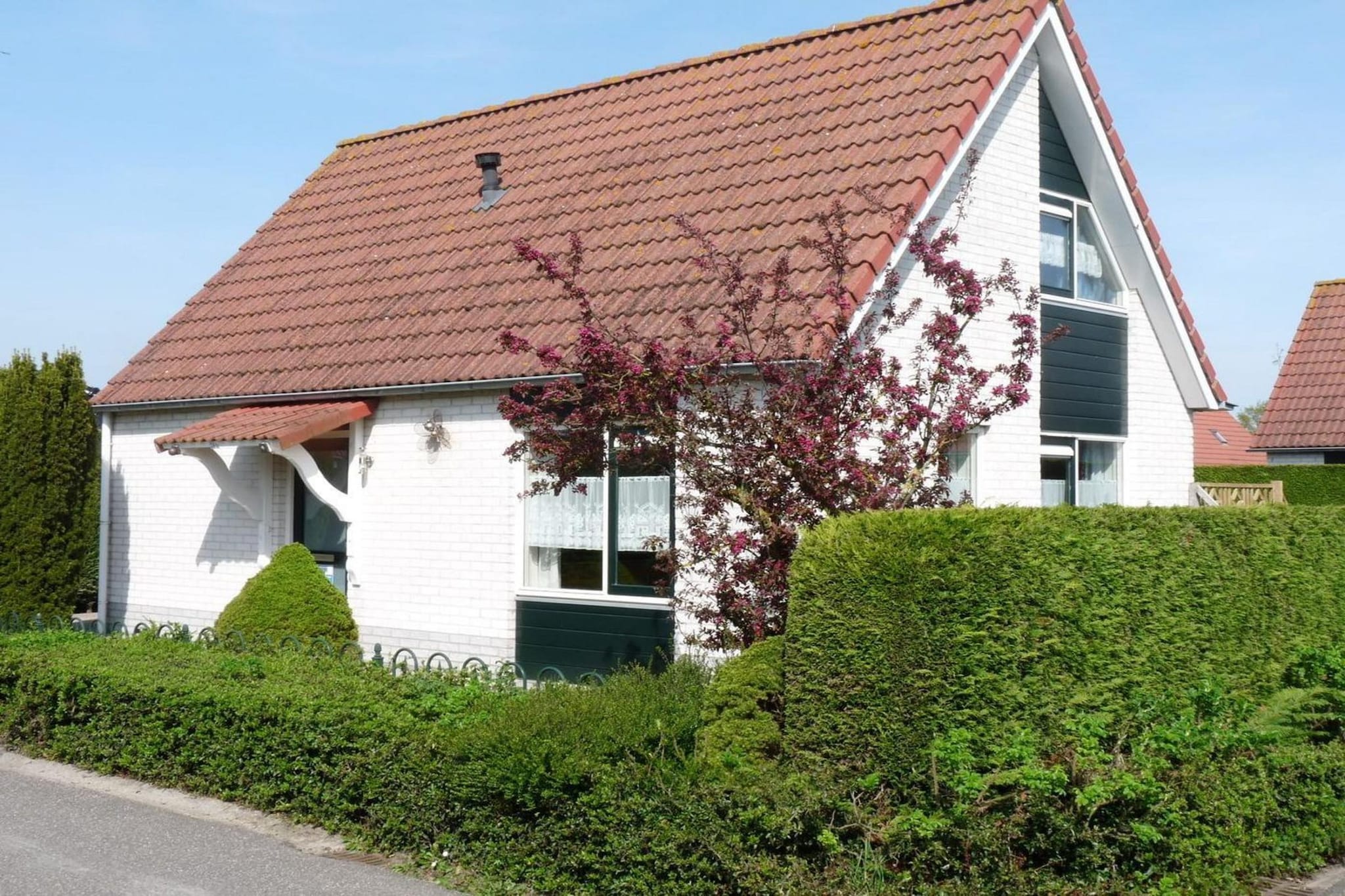 Schoneveld 246 Stern Breskens - Buitenkant zomer