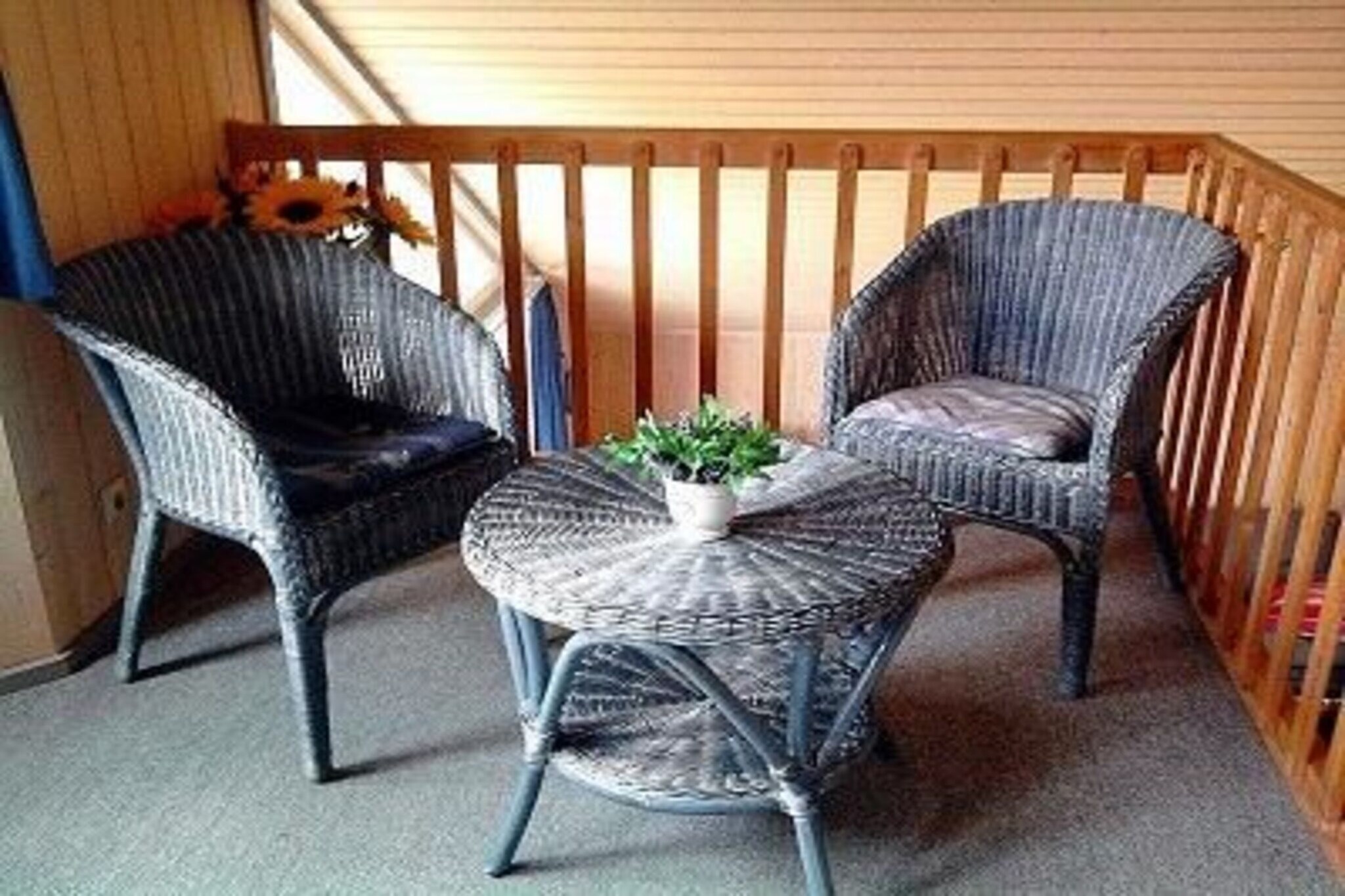 Terrace Balcony