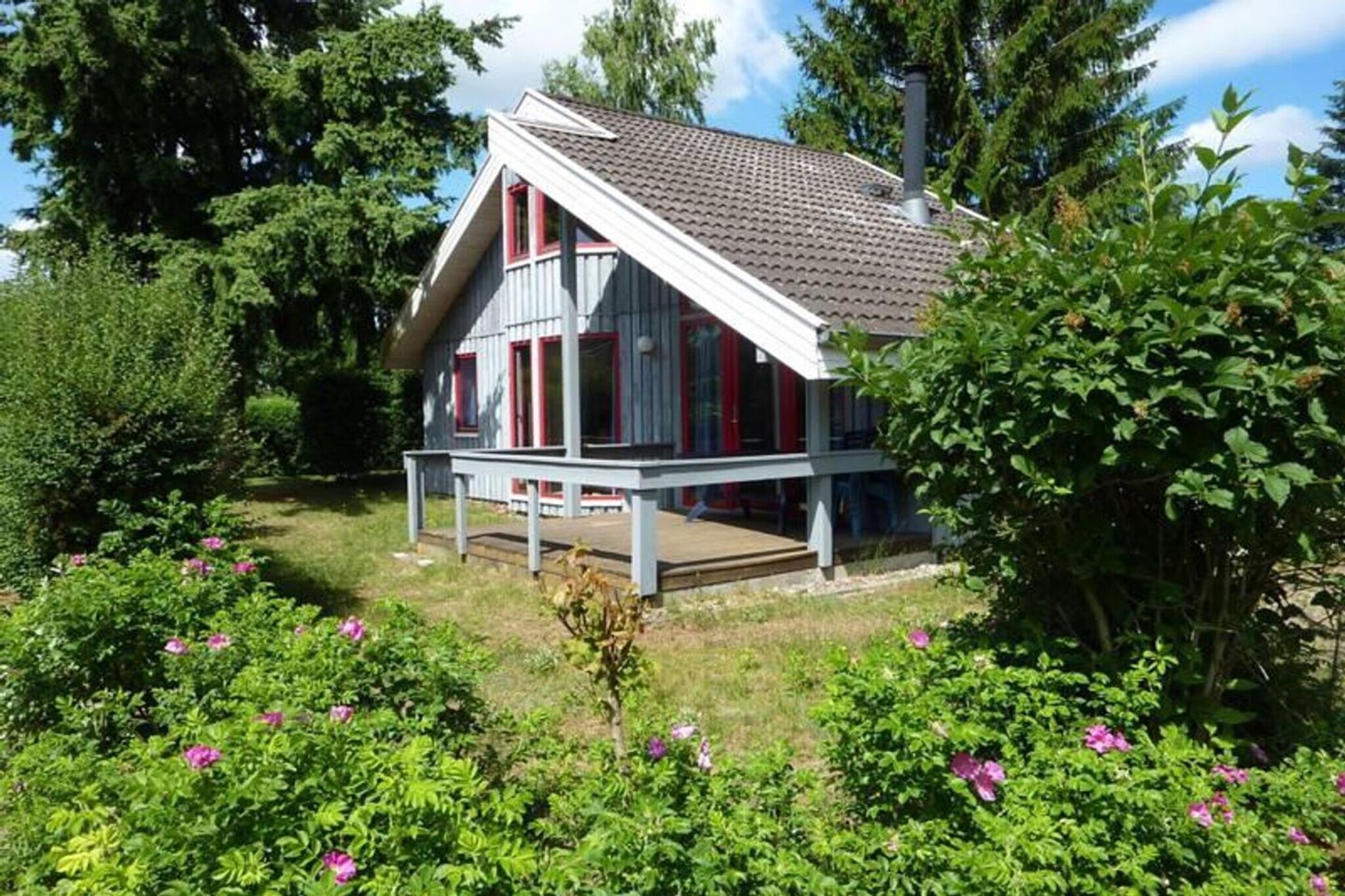 Garden Summer