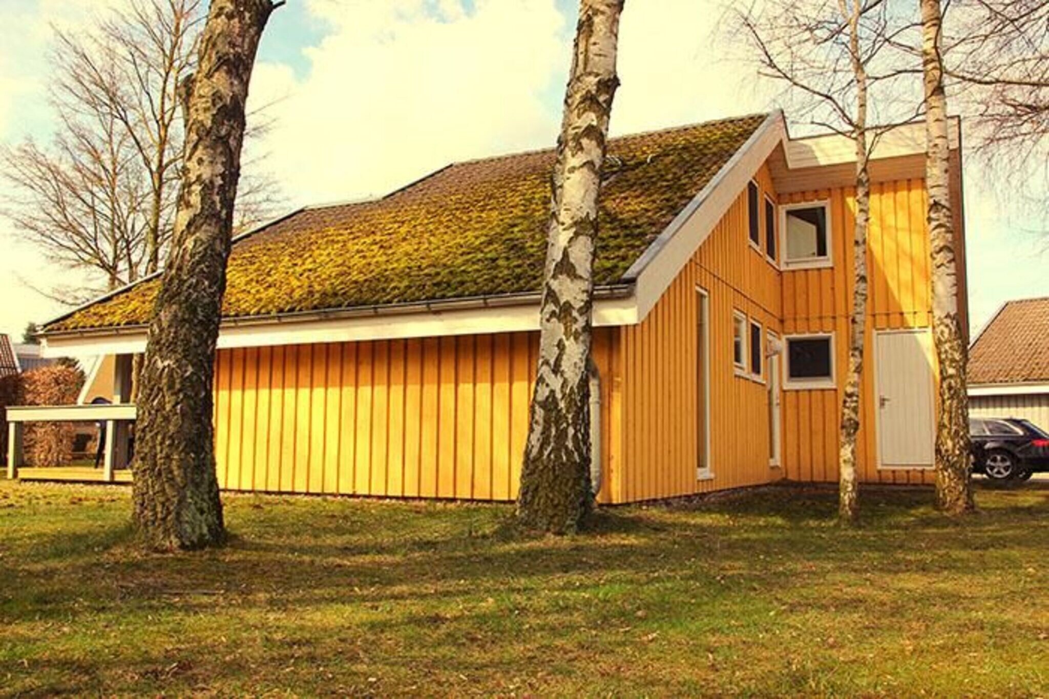 Exterior Summer