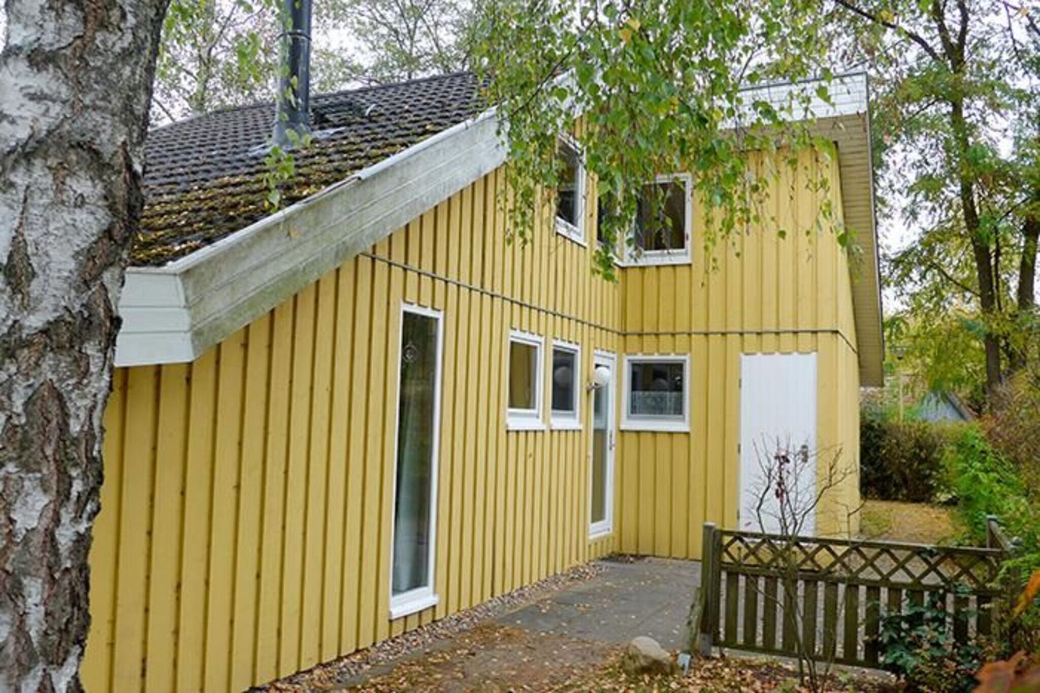 Exterior Summer