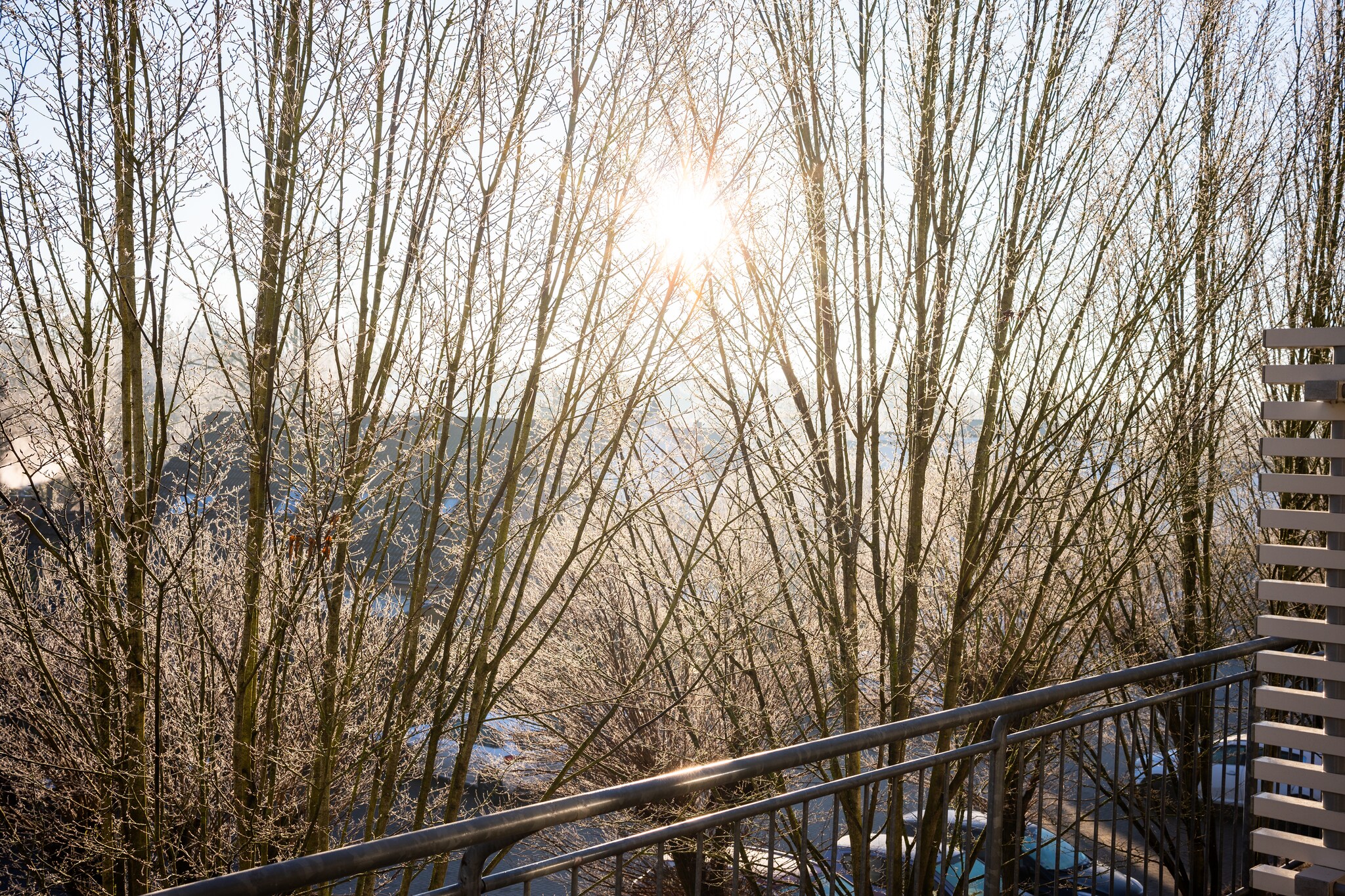 Eisvogel Classic 2301-Uitzicht zomer