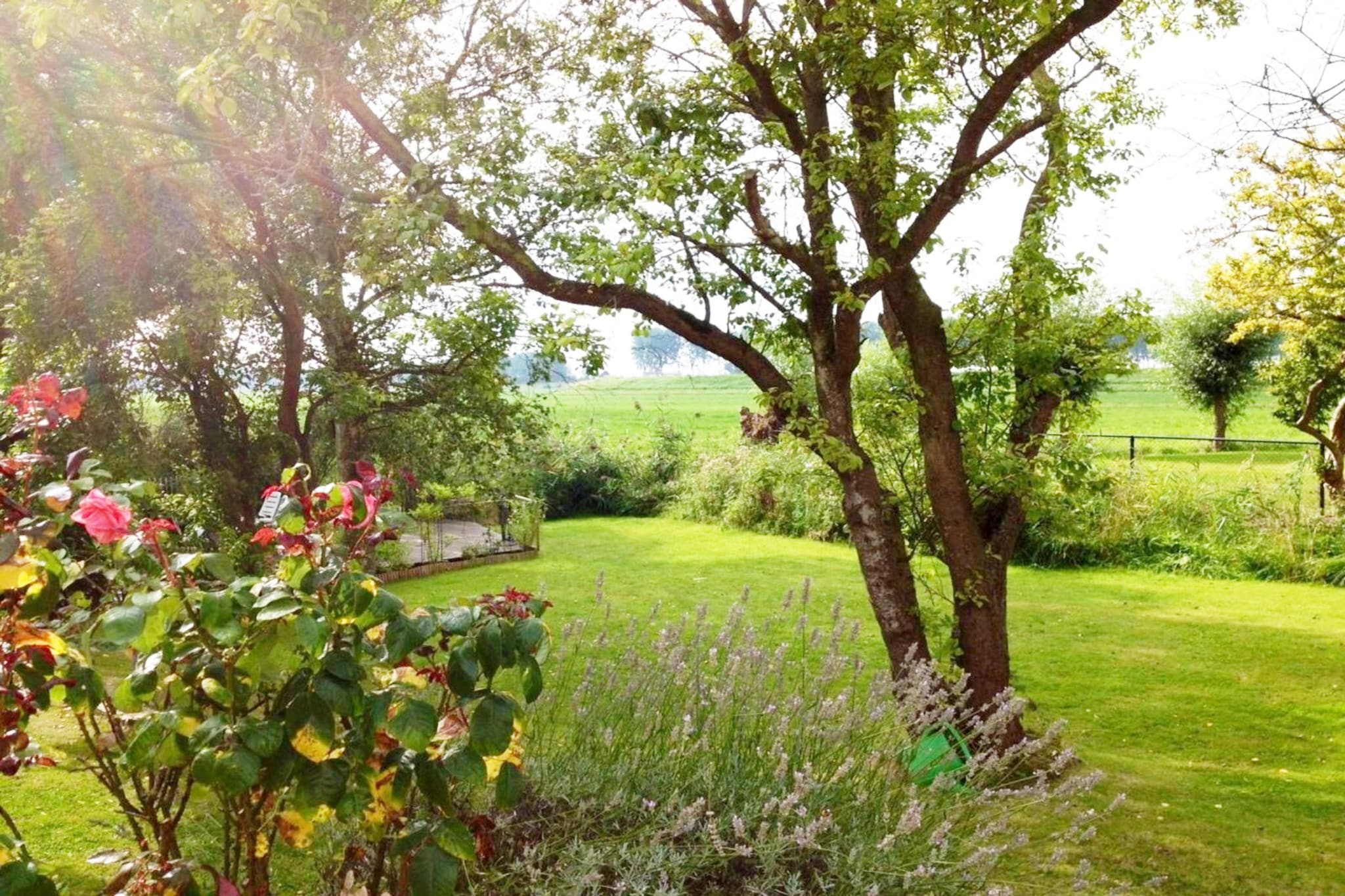 Garden Summer