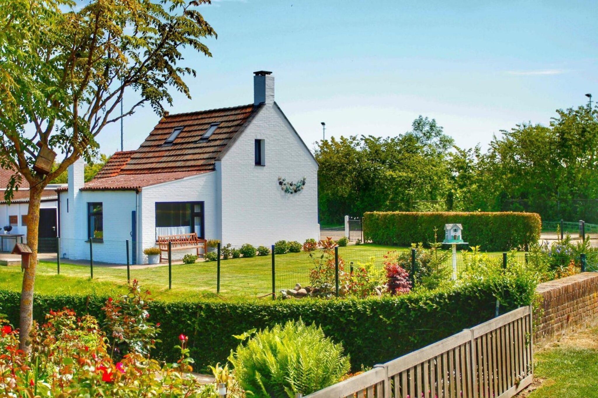 Tragel 37 Schoondijke-Tuinen zomer
