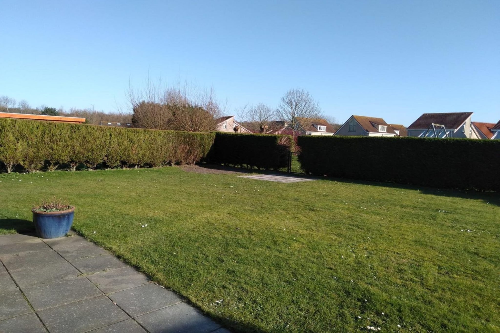 Garden Summer
