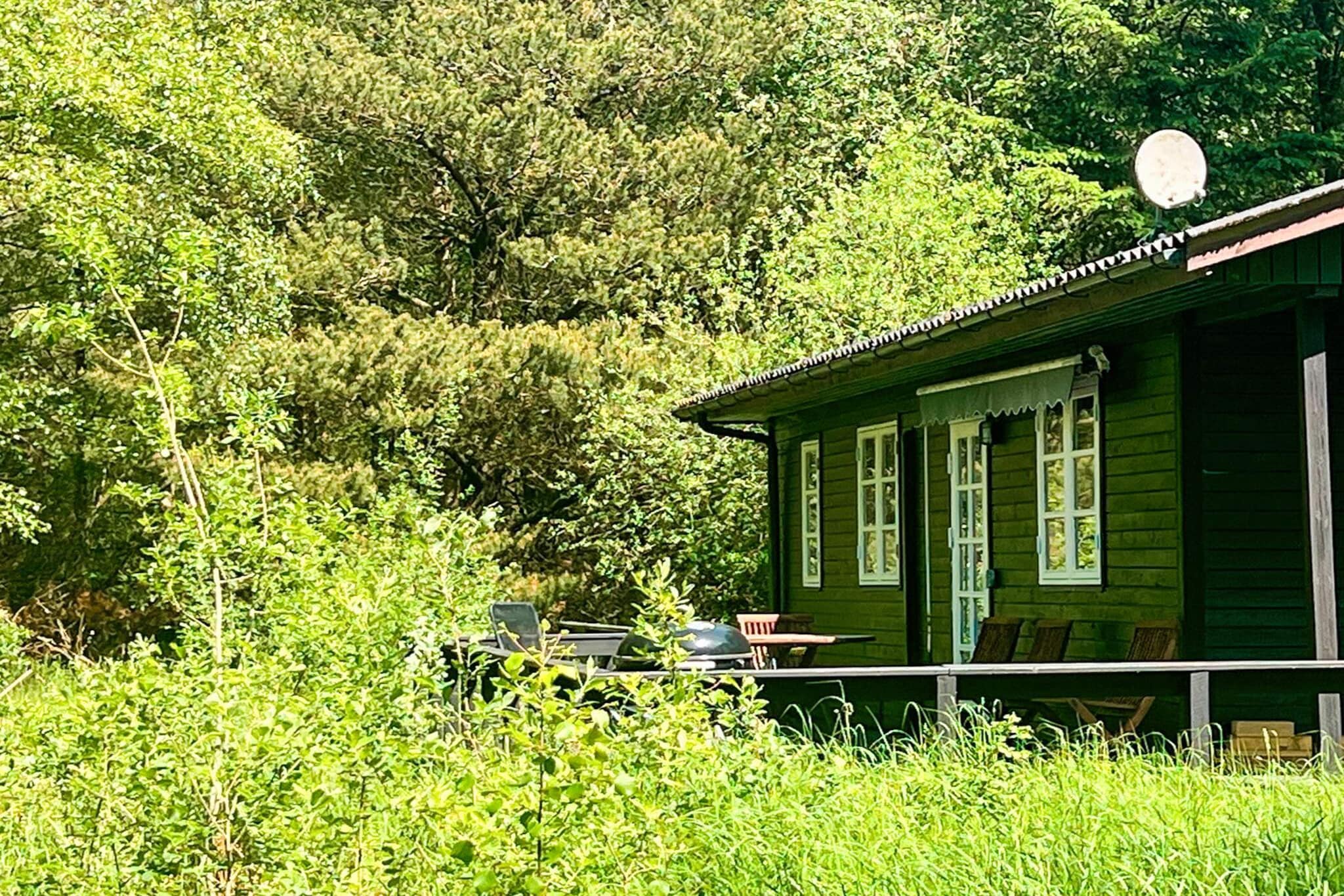 4 Personen vakantie huis in Læsø-Buitenlucht