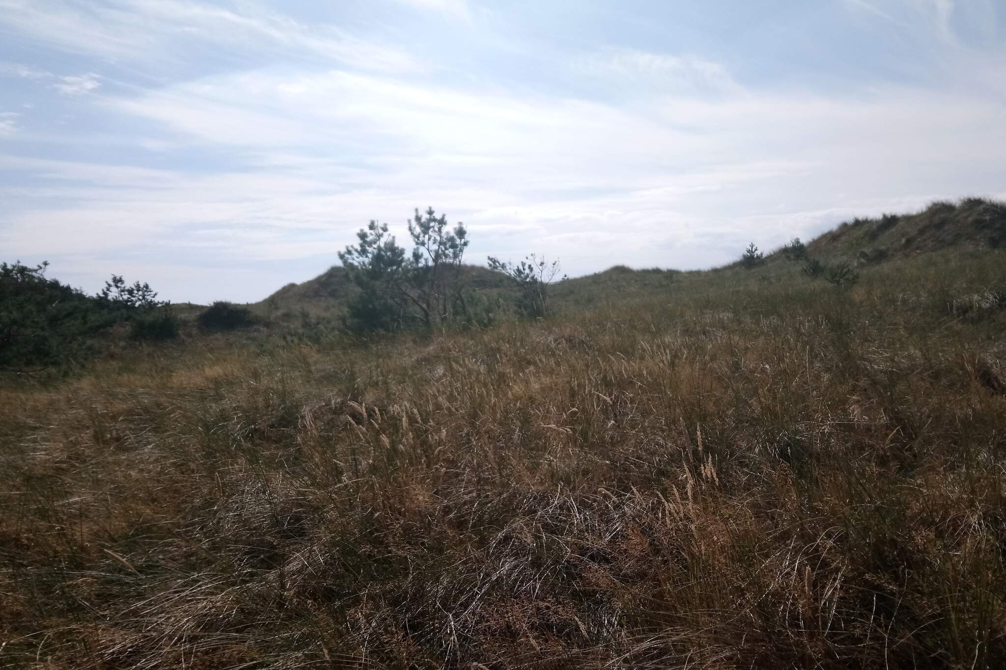 4 Personen vakantie huis in Læsø-Niet-getagd