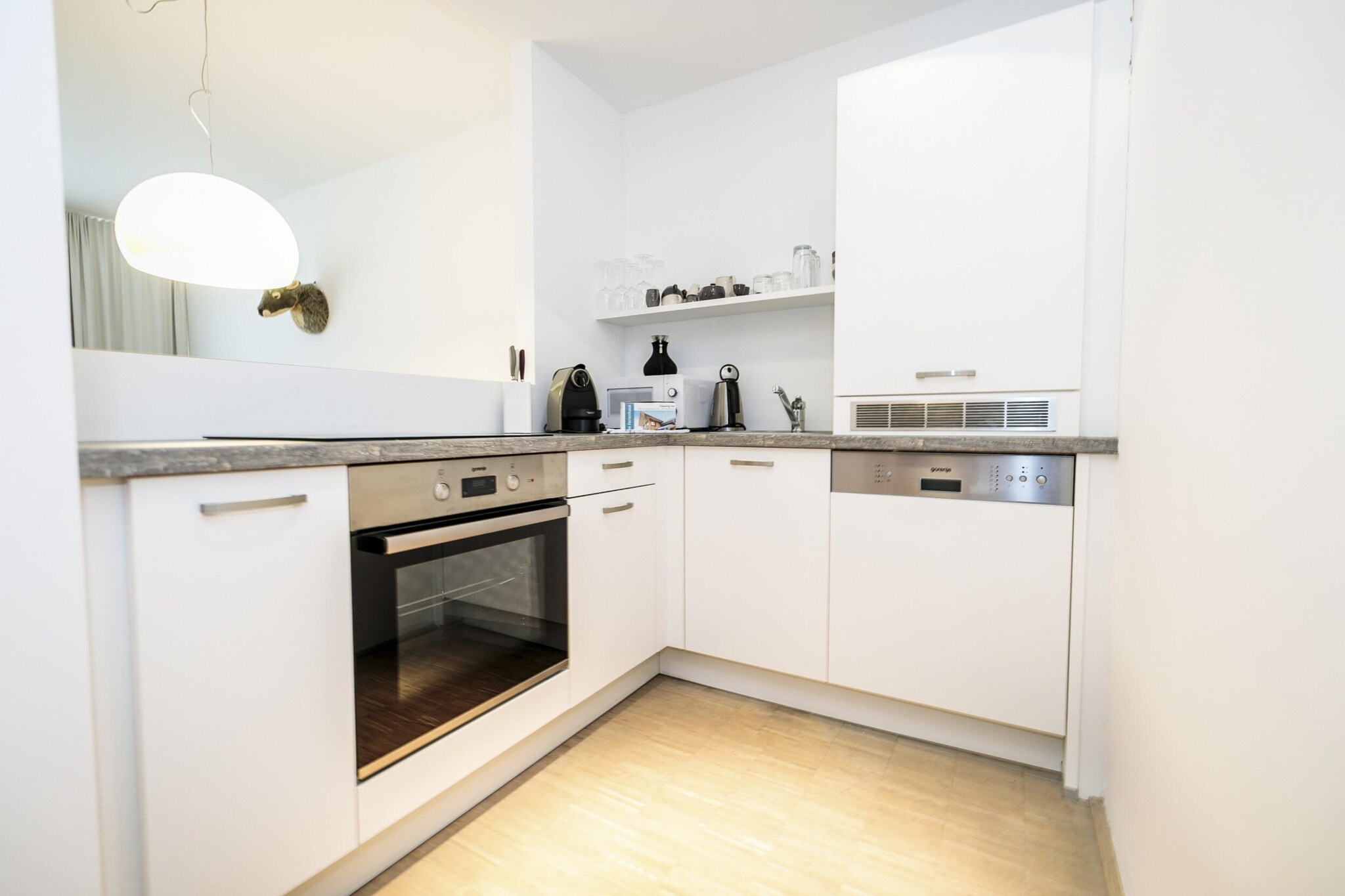 Lush apartment with private sauna