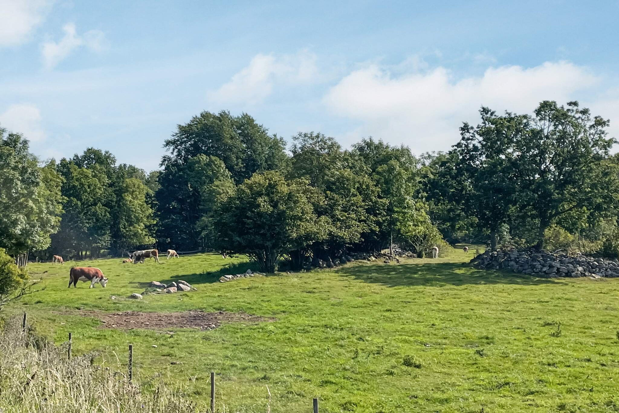 Charmant huisje aan het meer in Torsebo - Niet-getagd