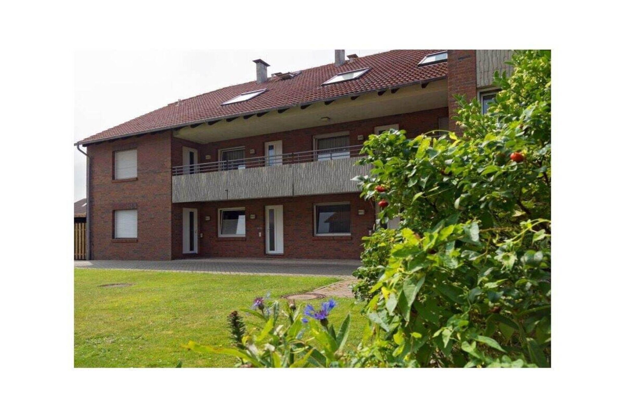 85964-Jardins en été