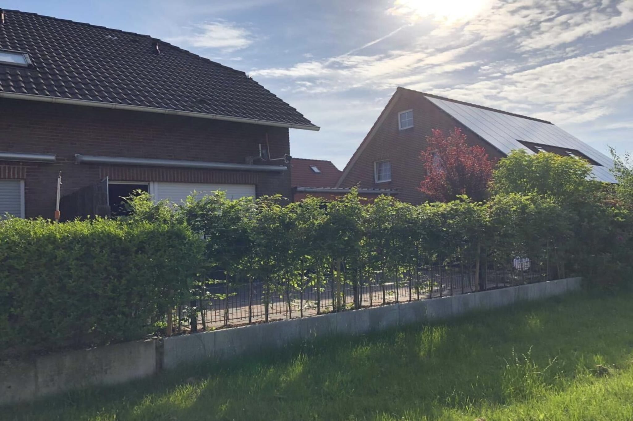 235583-Jardins en été