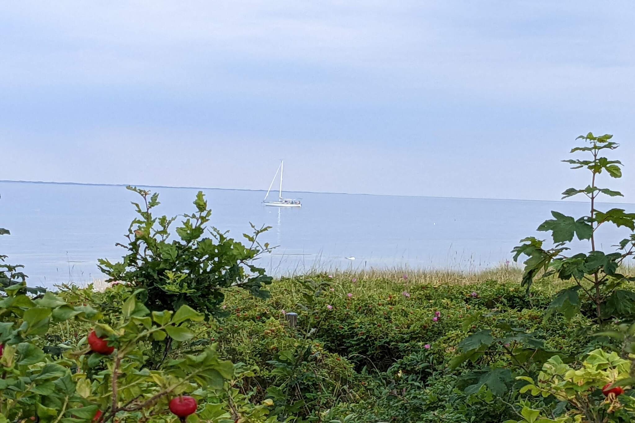 Tranquil Haven by Saksild - By Traum Ferienwohnungen