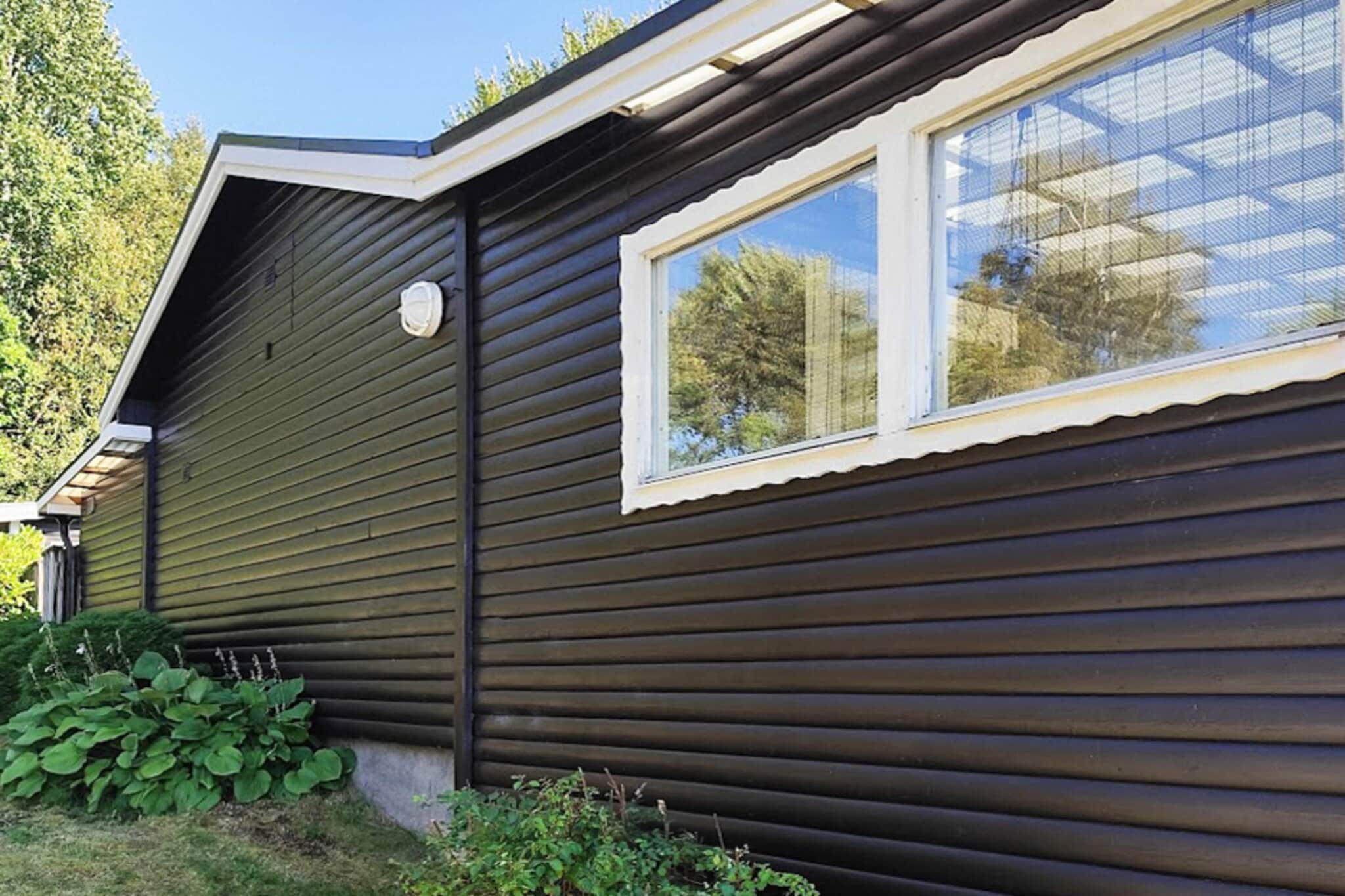 4 Sterne Ferienhaus in BORÅS - Im Freien
