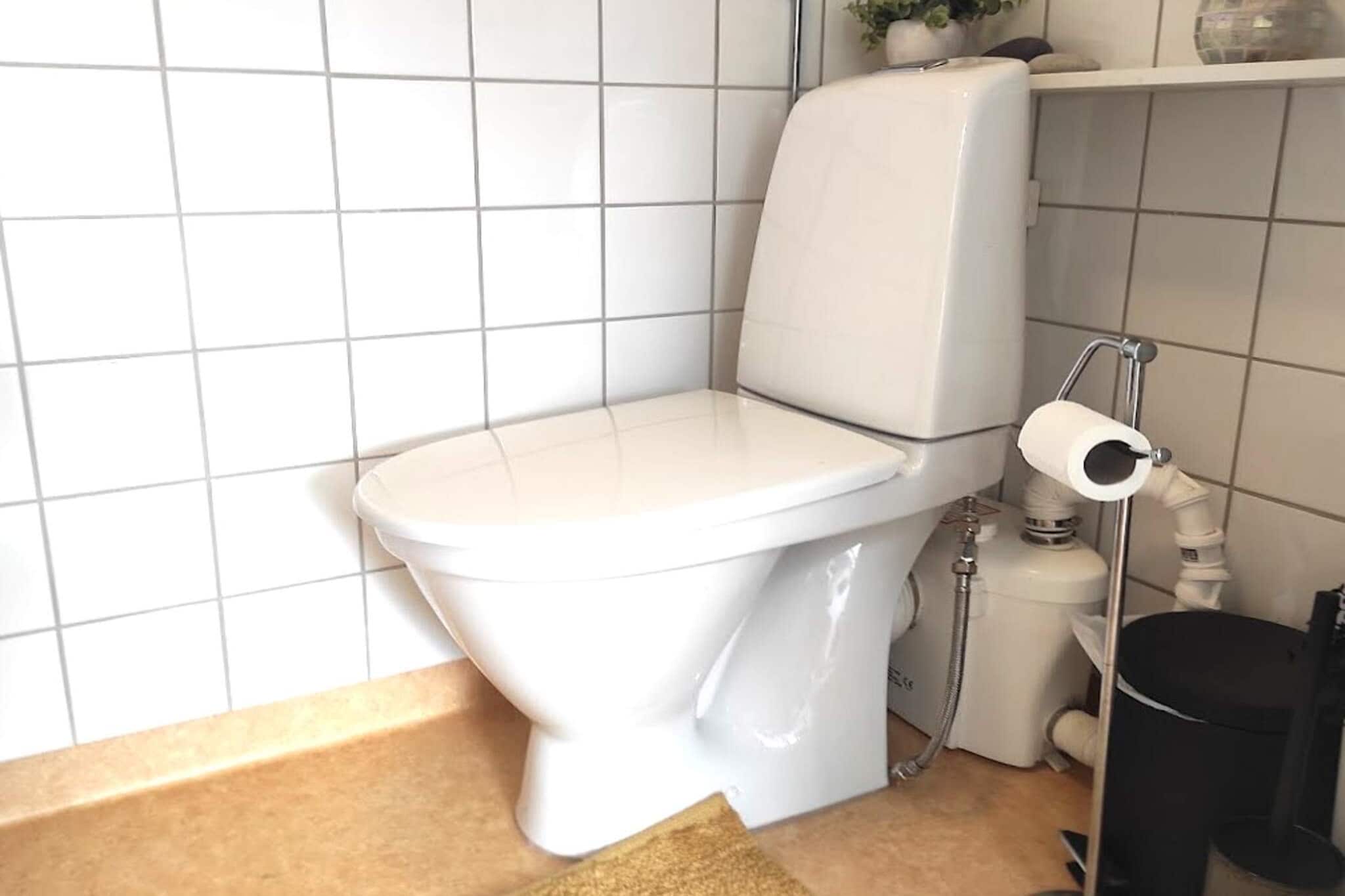 4 Sterne Ferienhaus in BORÅS - Innenbereich