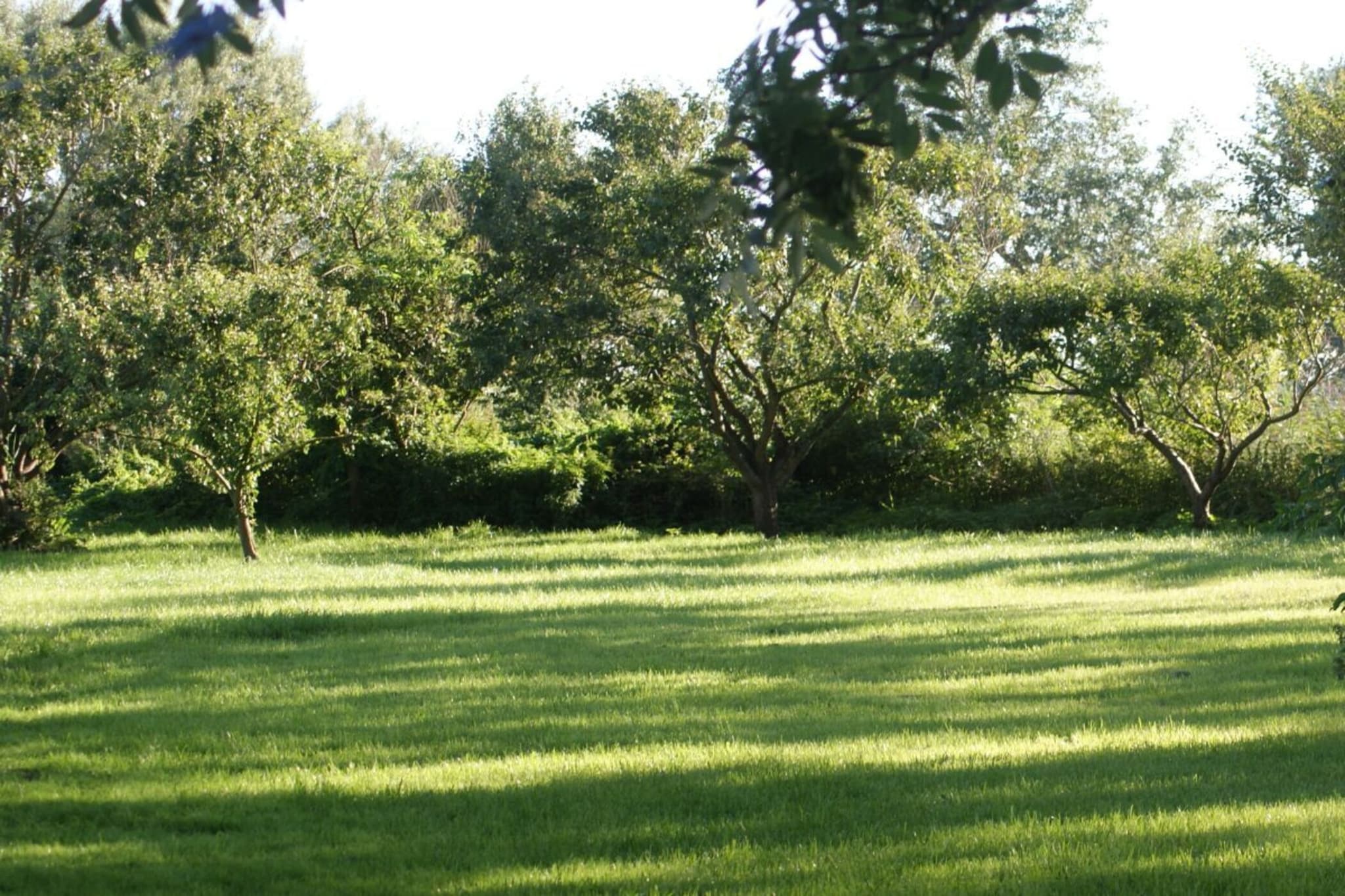 66769-Gardens summer