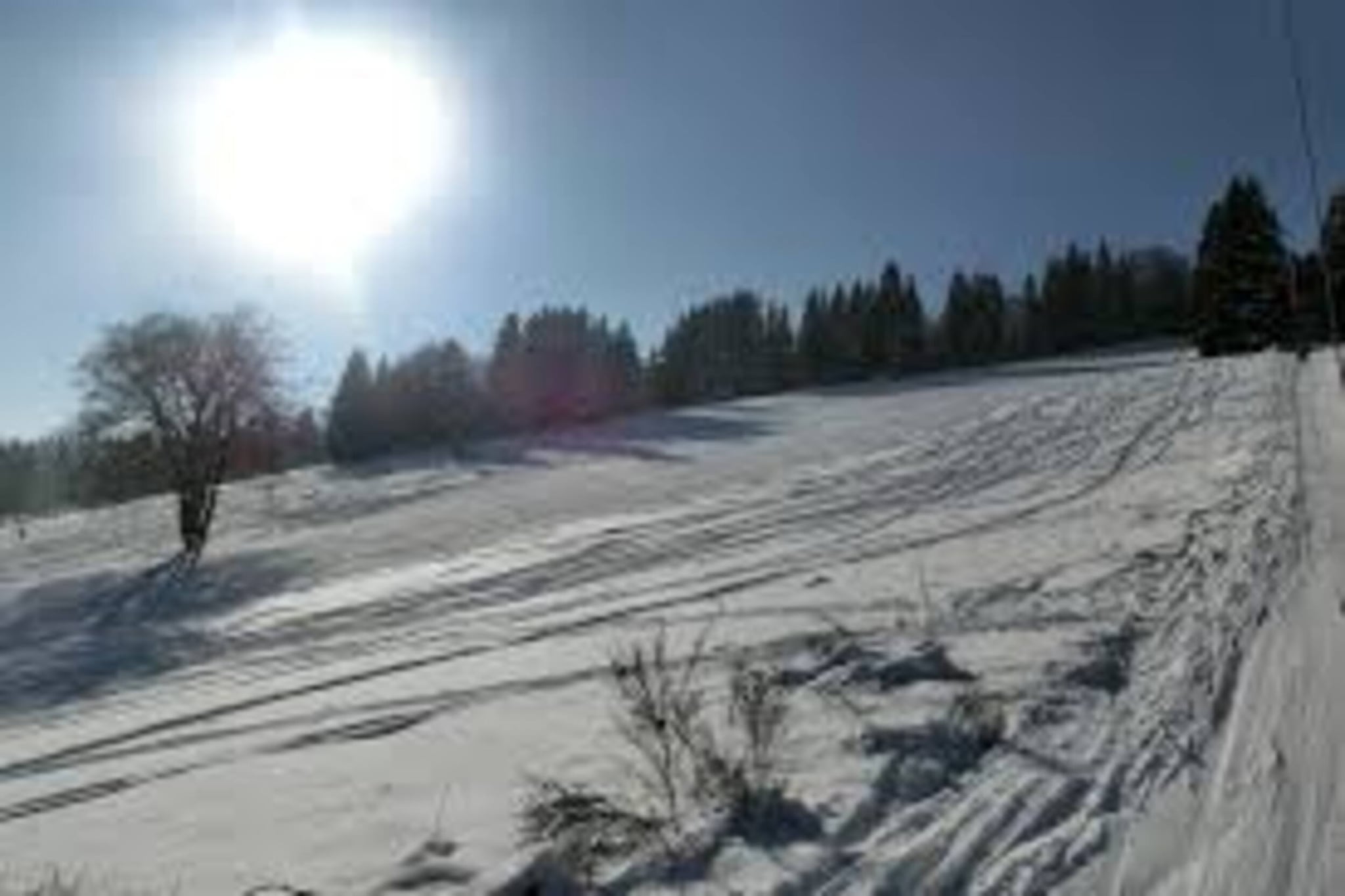 Kleine Auszeit Winterberg-Gebieden zomer 5km
