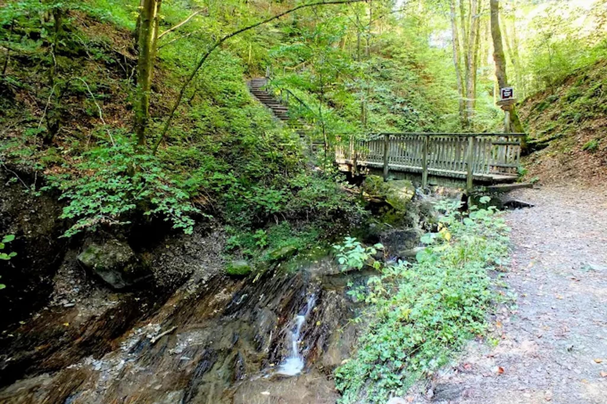 Kleine Auszeit Winterberg-Gebieden zomer 1km