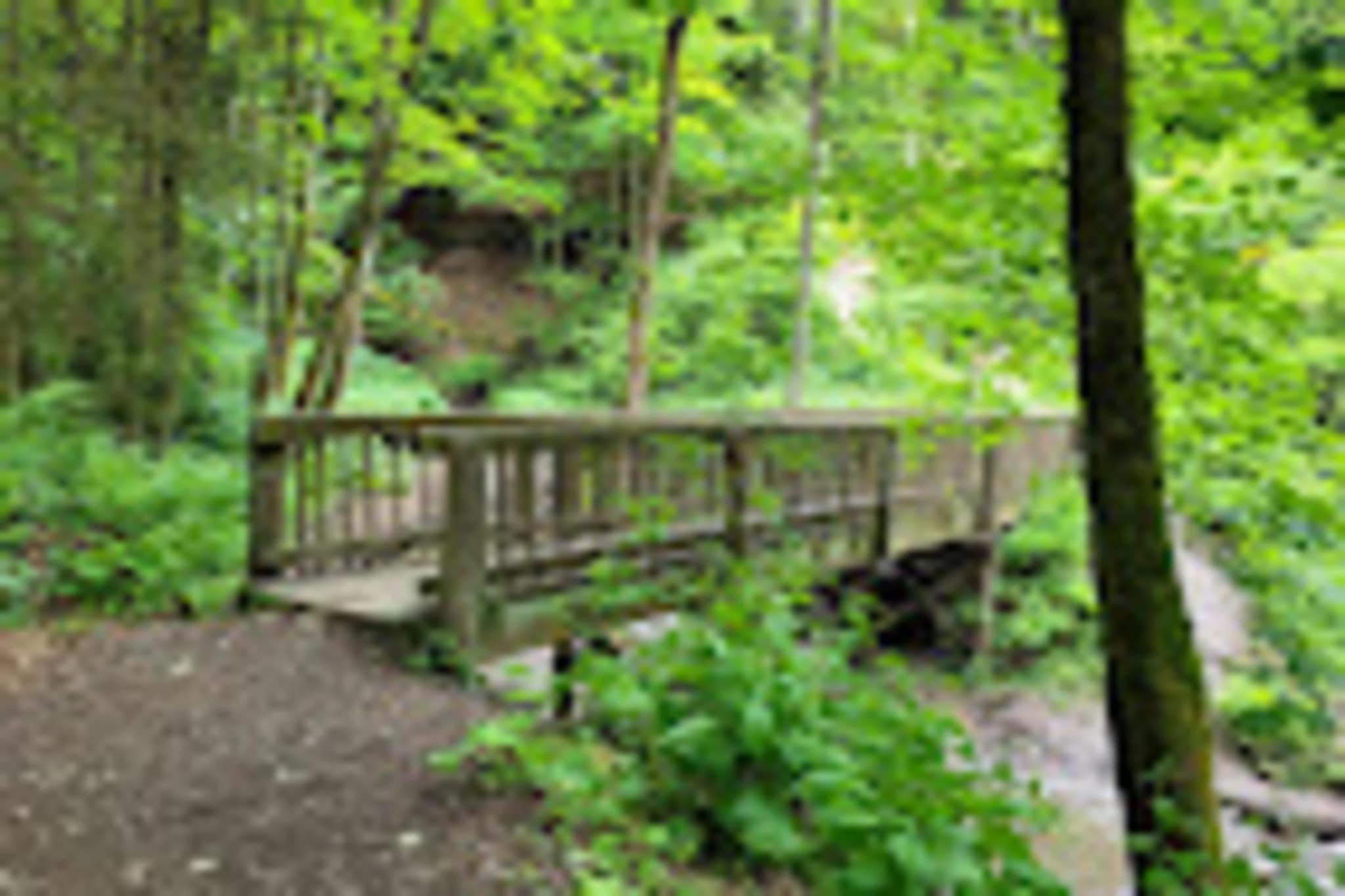 Kleine Auszeit Winterberg-Gebieden zomer 1km