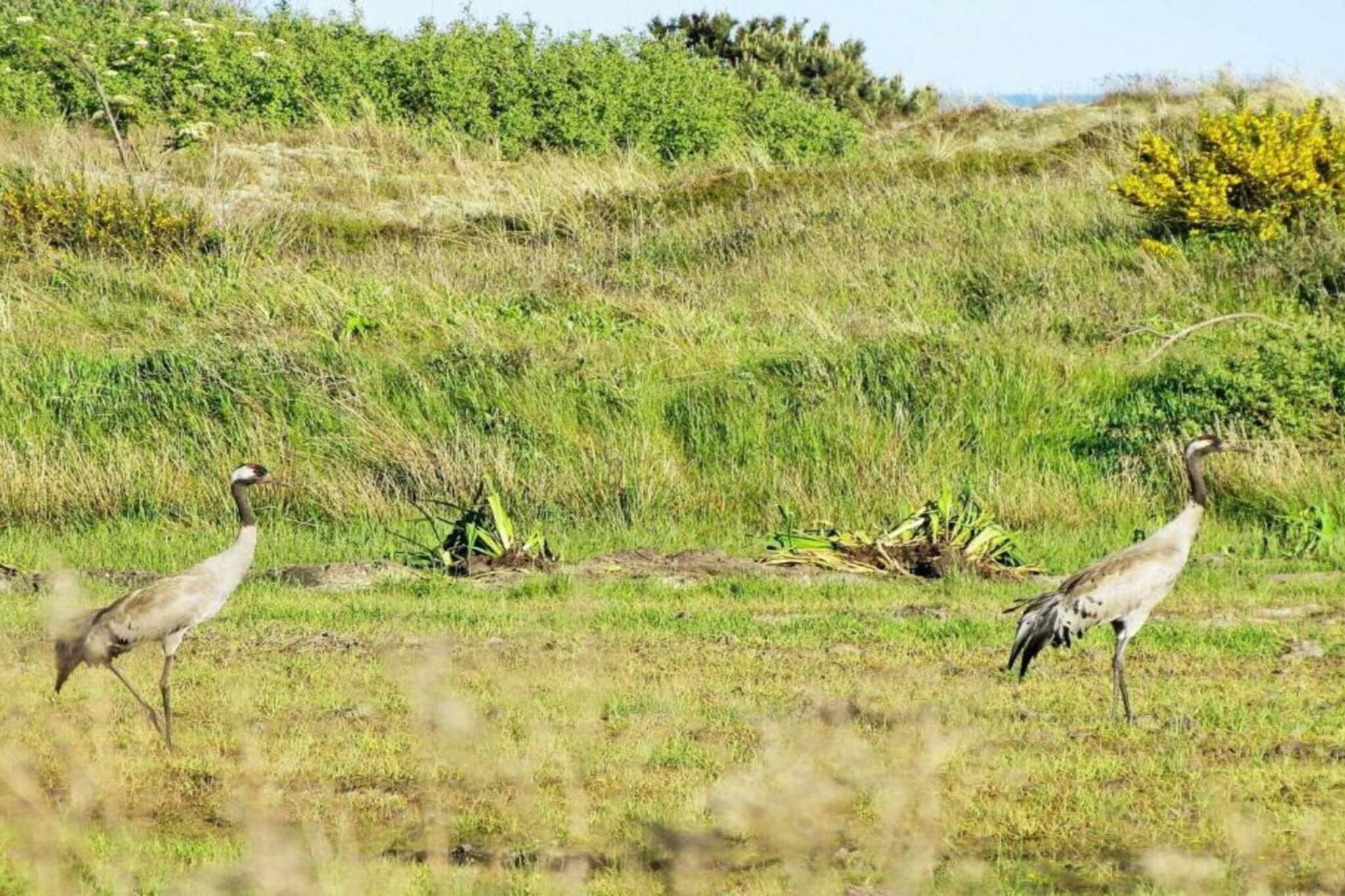 Luxe retraite in Skagen -- By Traum Ferienwohnungen-Niet-getagd
