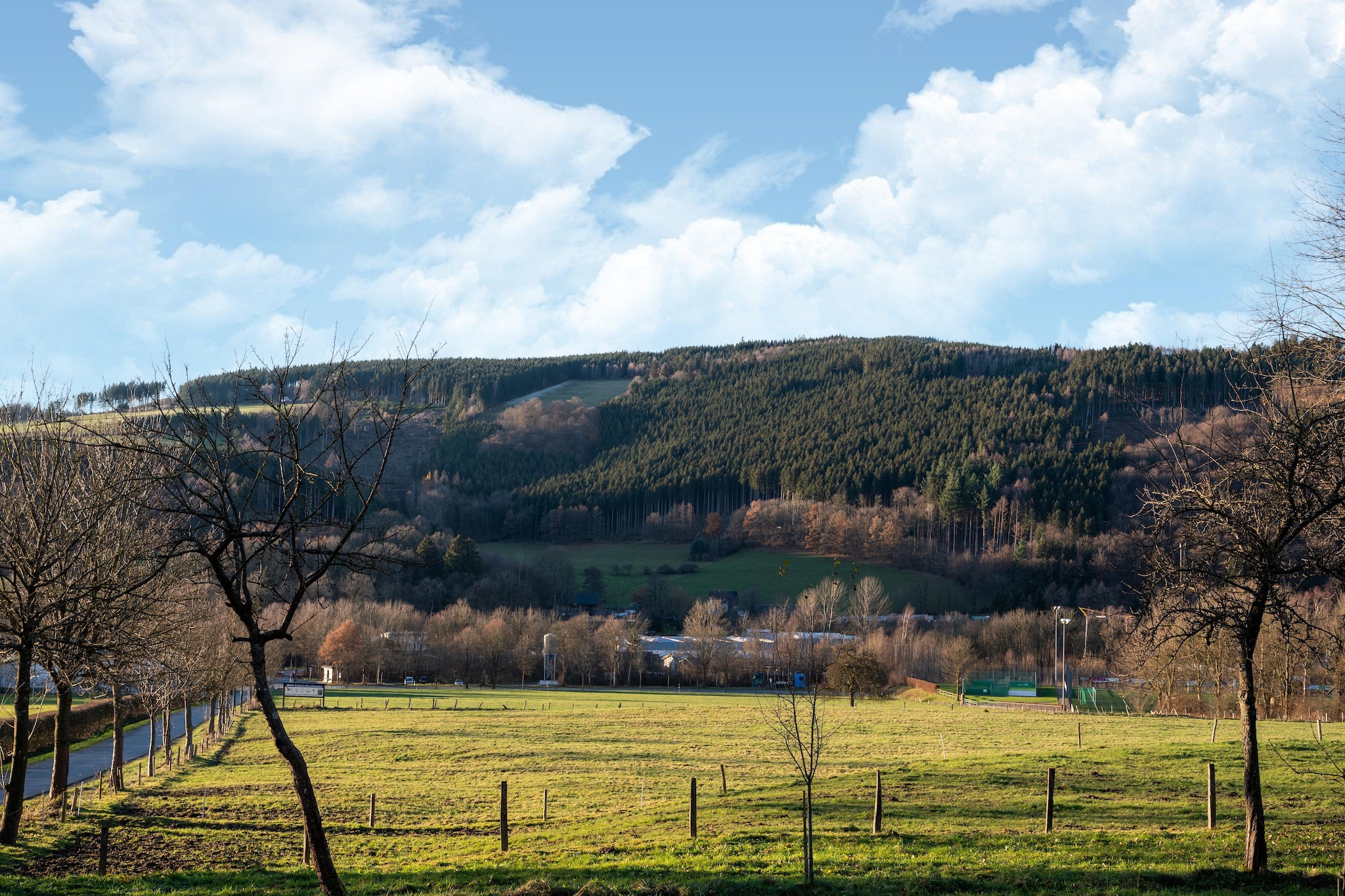 View Summer