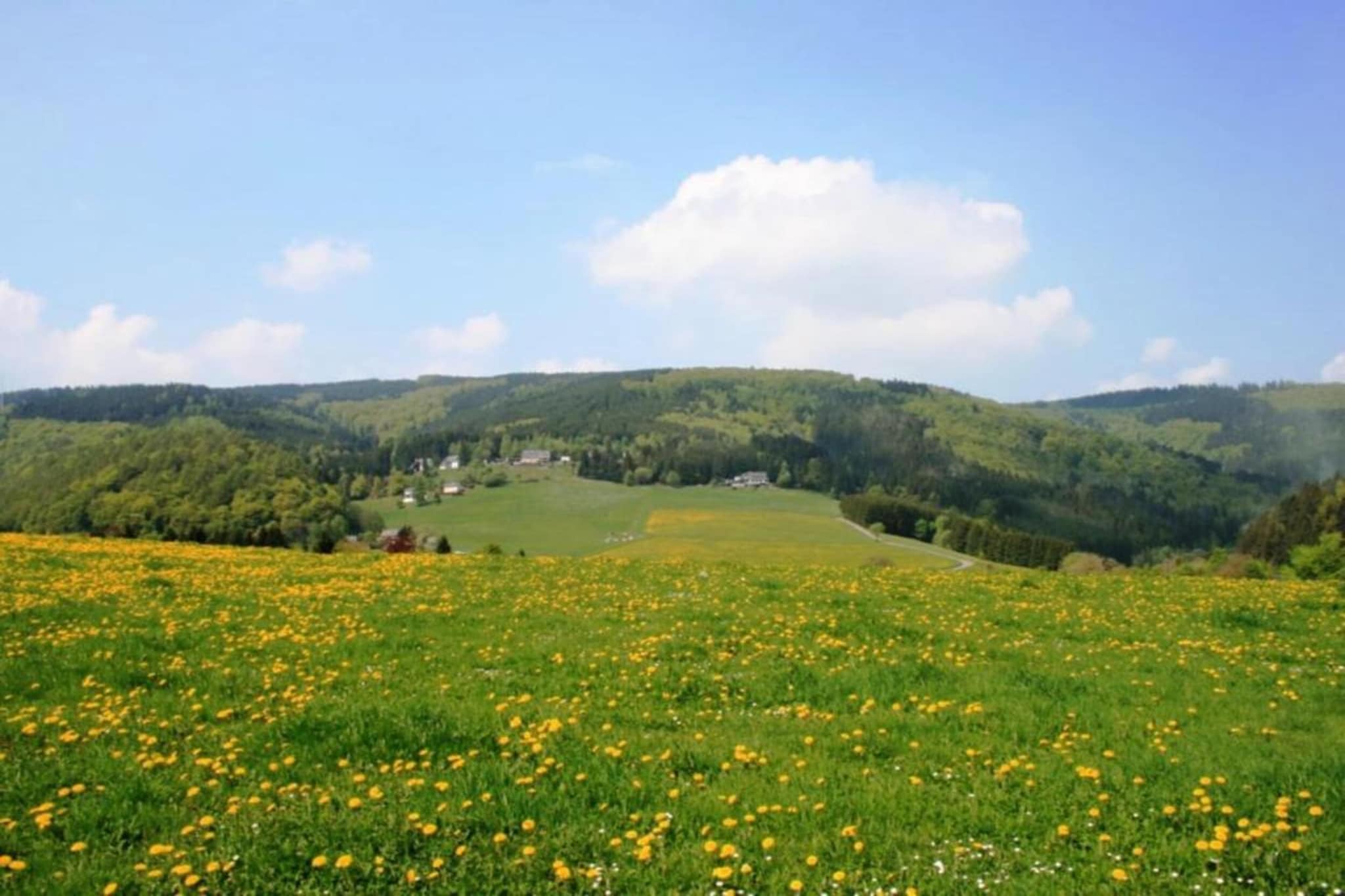 Appartement Am Forstweg Yalet-Gebieden zomer 20km