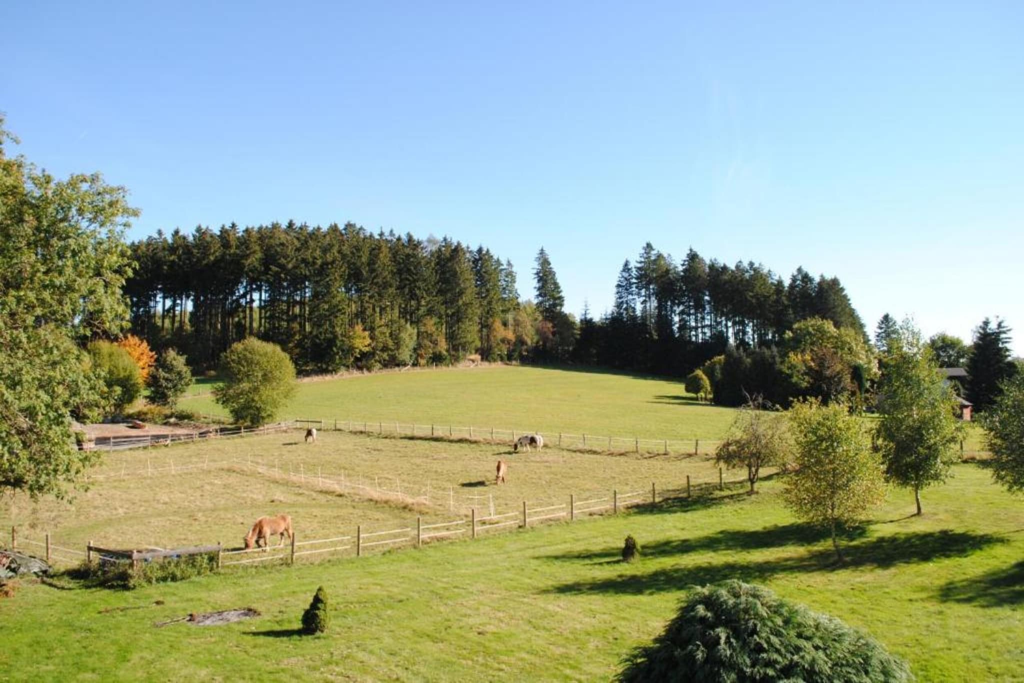Appartement Am Forstweg Yalet-Gebieden zomer 5km