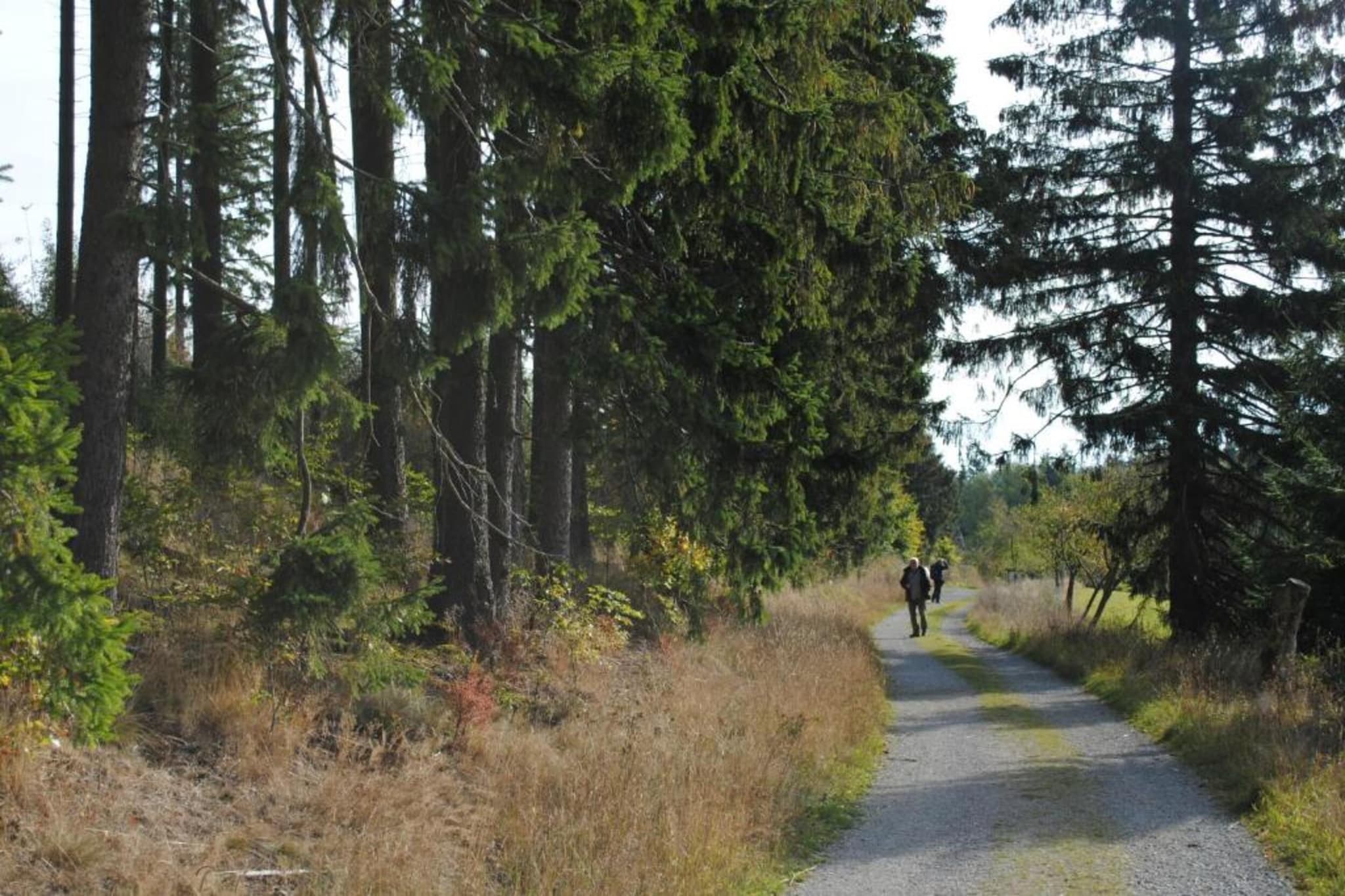 Appartement Am Forstweg Yalet-Gebieden zomer 5km