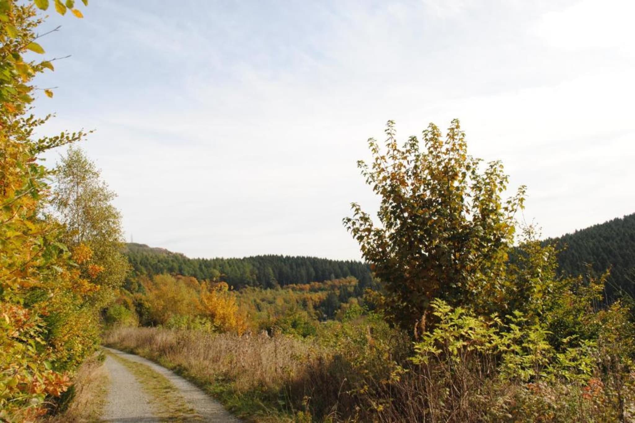 Appartement Am Forstweg Yalet-Gebieden zomer 5km