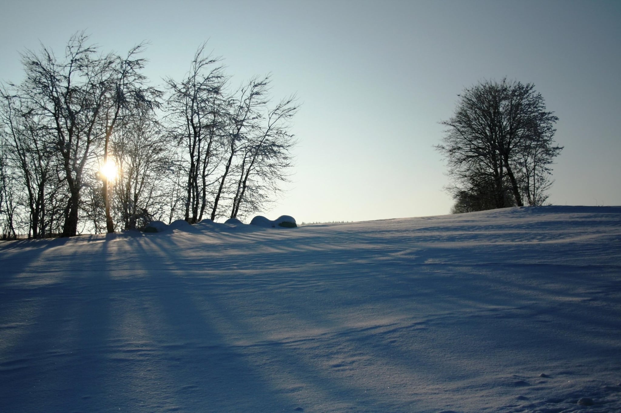 Zum wilden Jakob-Area winter 20km