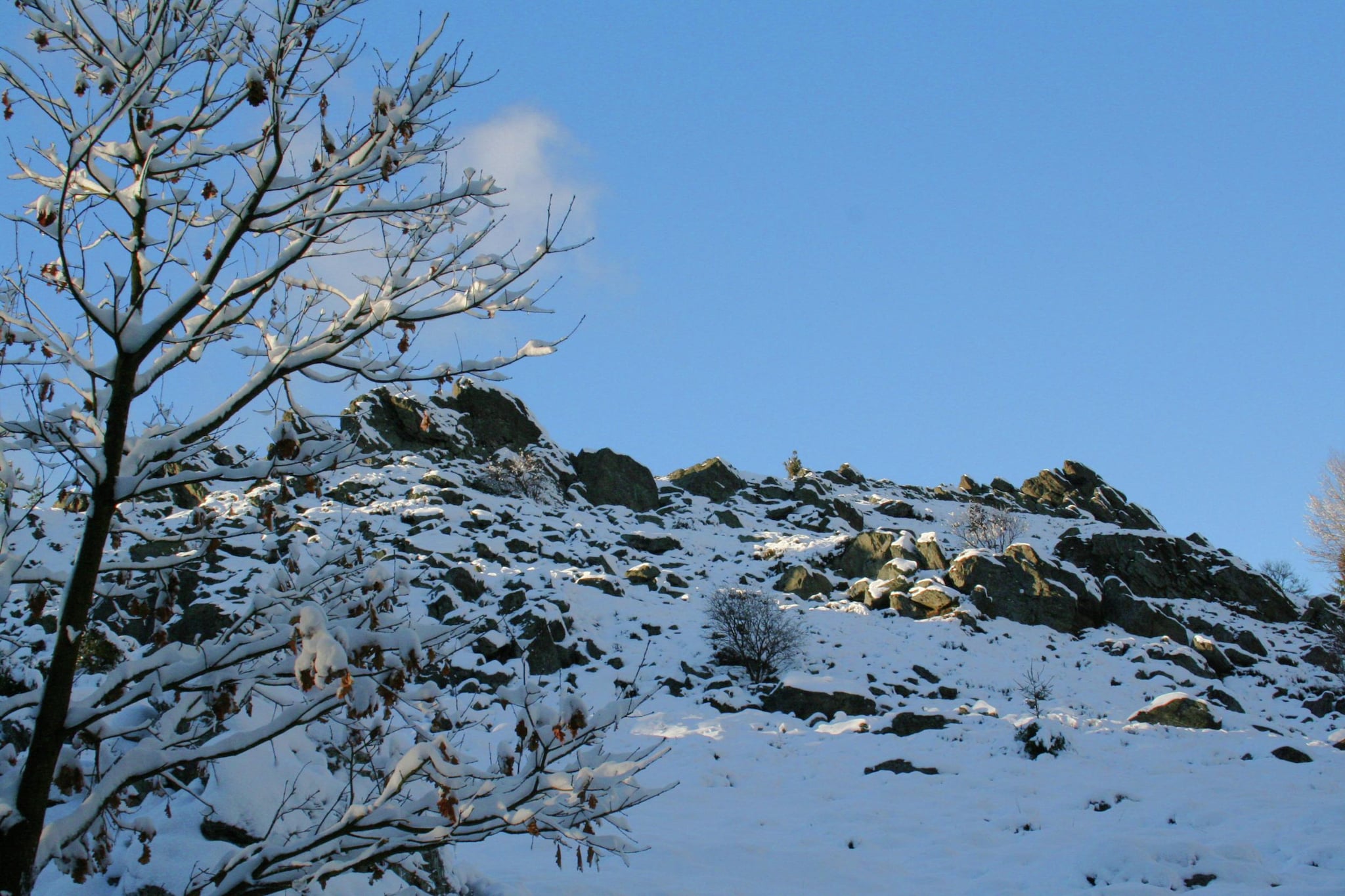 Zum wilden Jakob-Area winter 20km