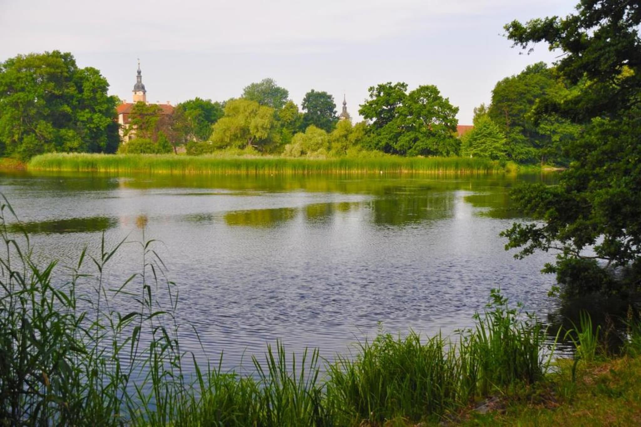 Apartment Eilenburg-Gebieden zomer 20km