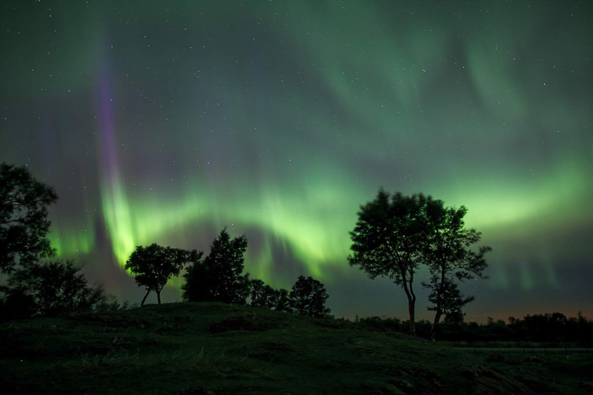 4 etoiles maison de vacances a Naustbukta - Non tagué