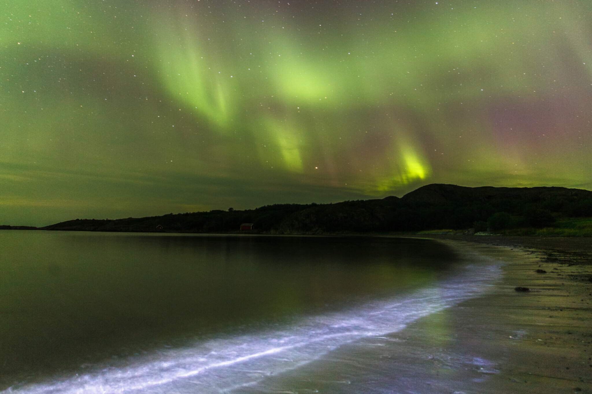 4 etoiles maison de vacances a Naustbukta - Non tagué