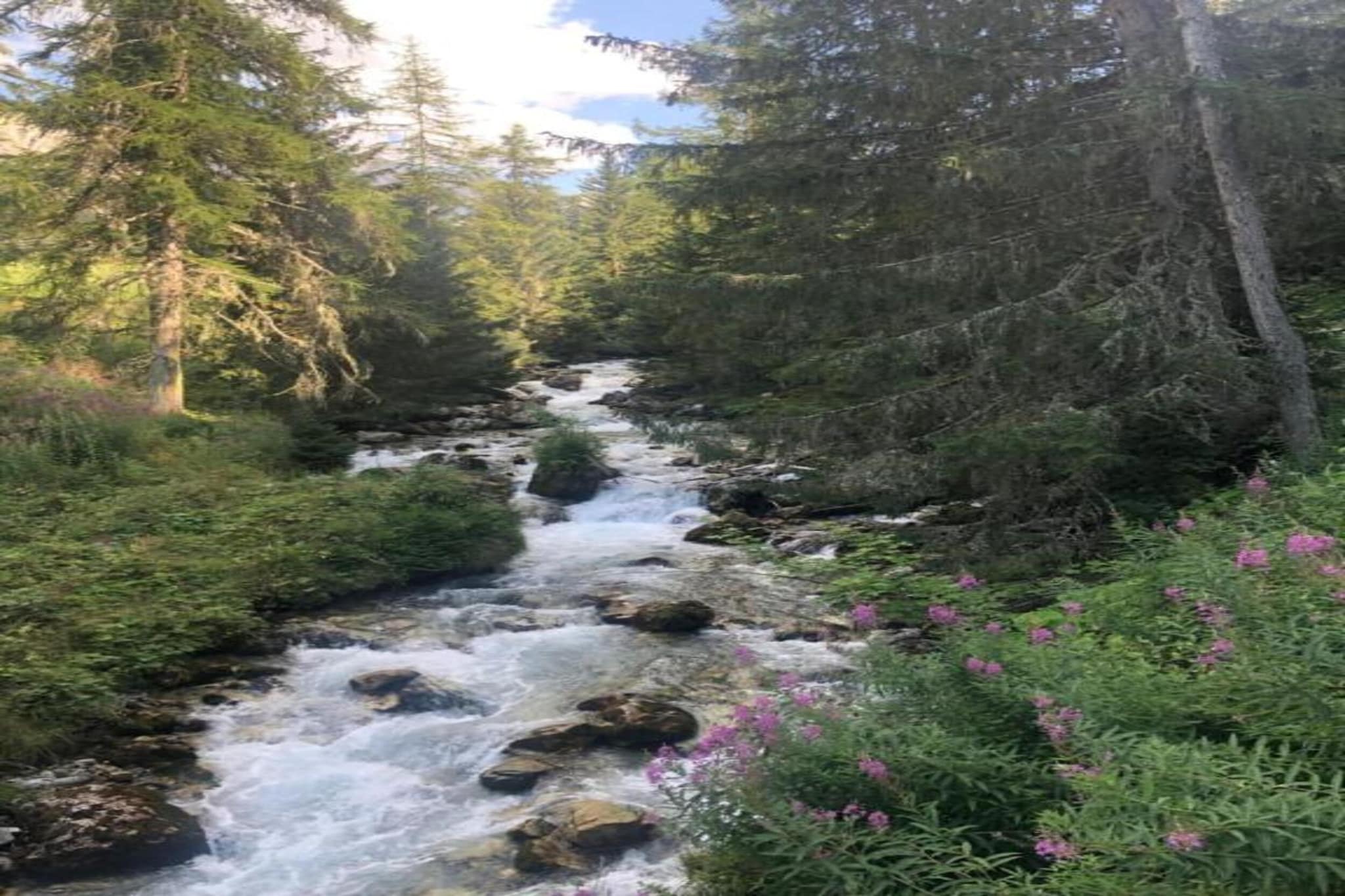 Chalets Les Amis 2-Gebieden zomer 20km