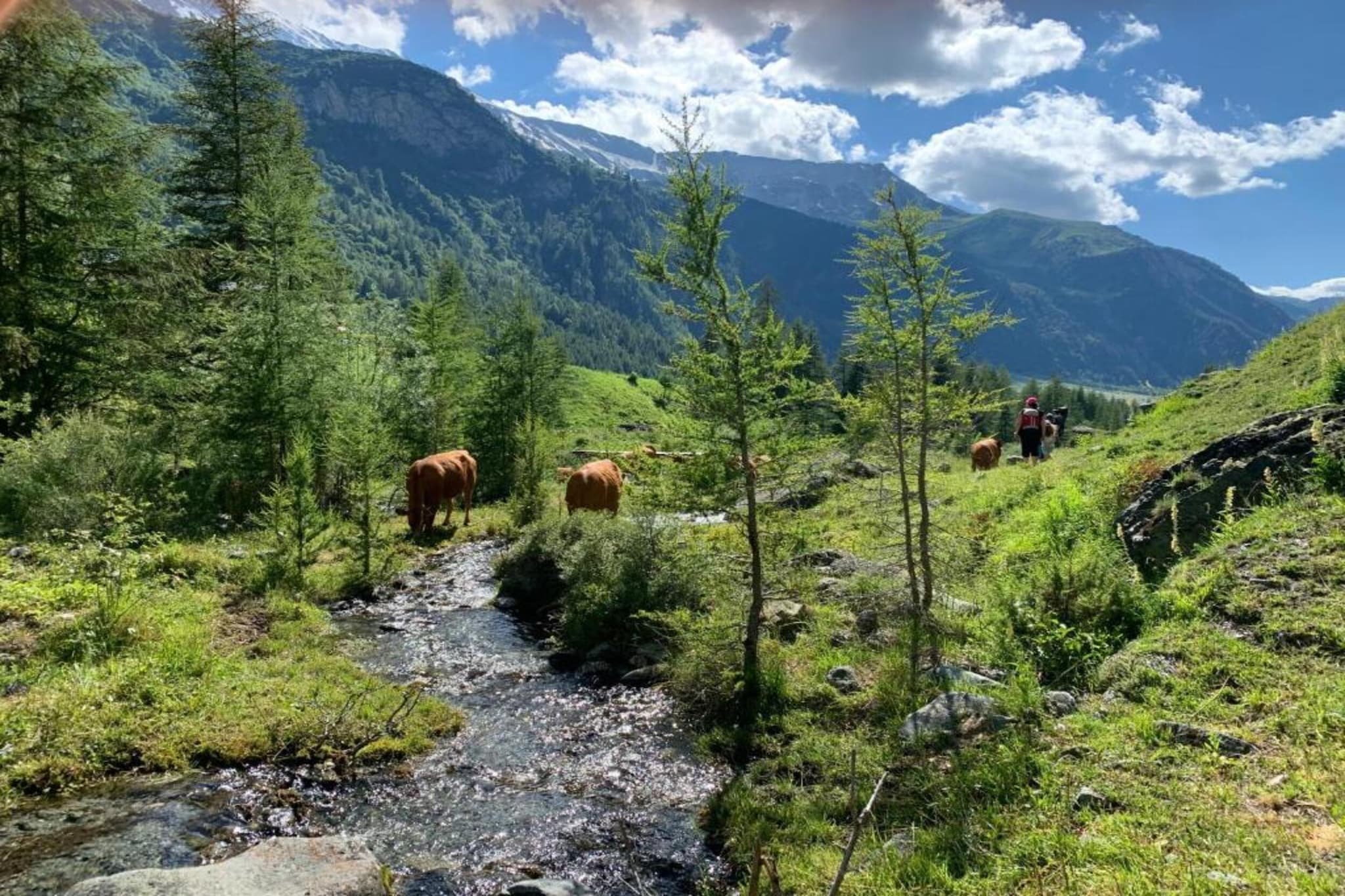 Chalet Ponturin-Gebieden zomer 20km
