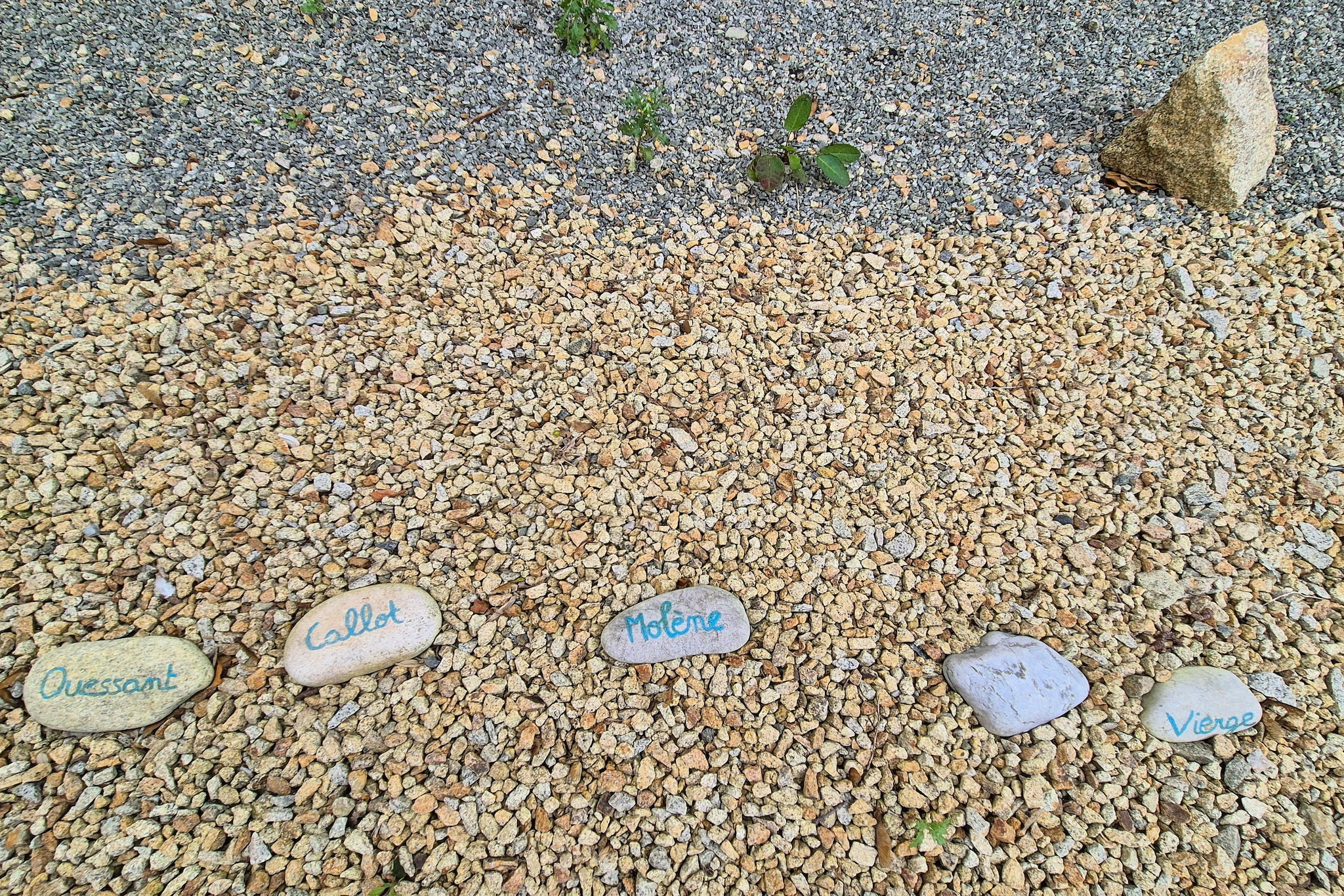 Outdoor