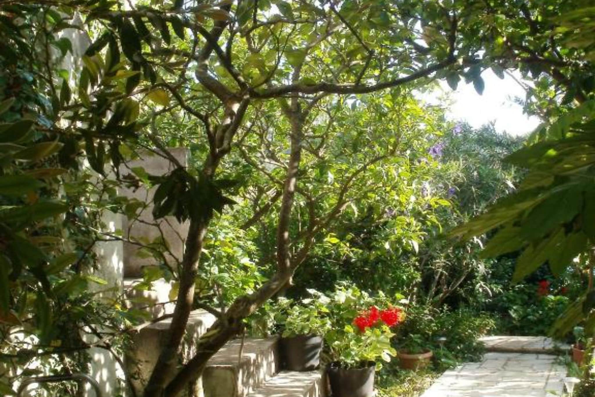 Seaside Holiday Home Andrija - Two Bedroom Holiday Home with Sea View-Outdoor