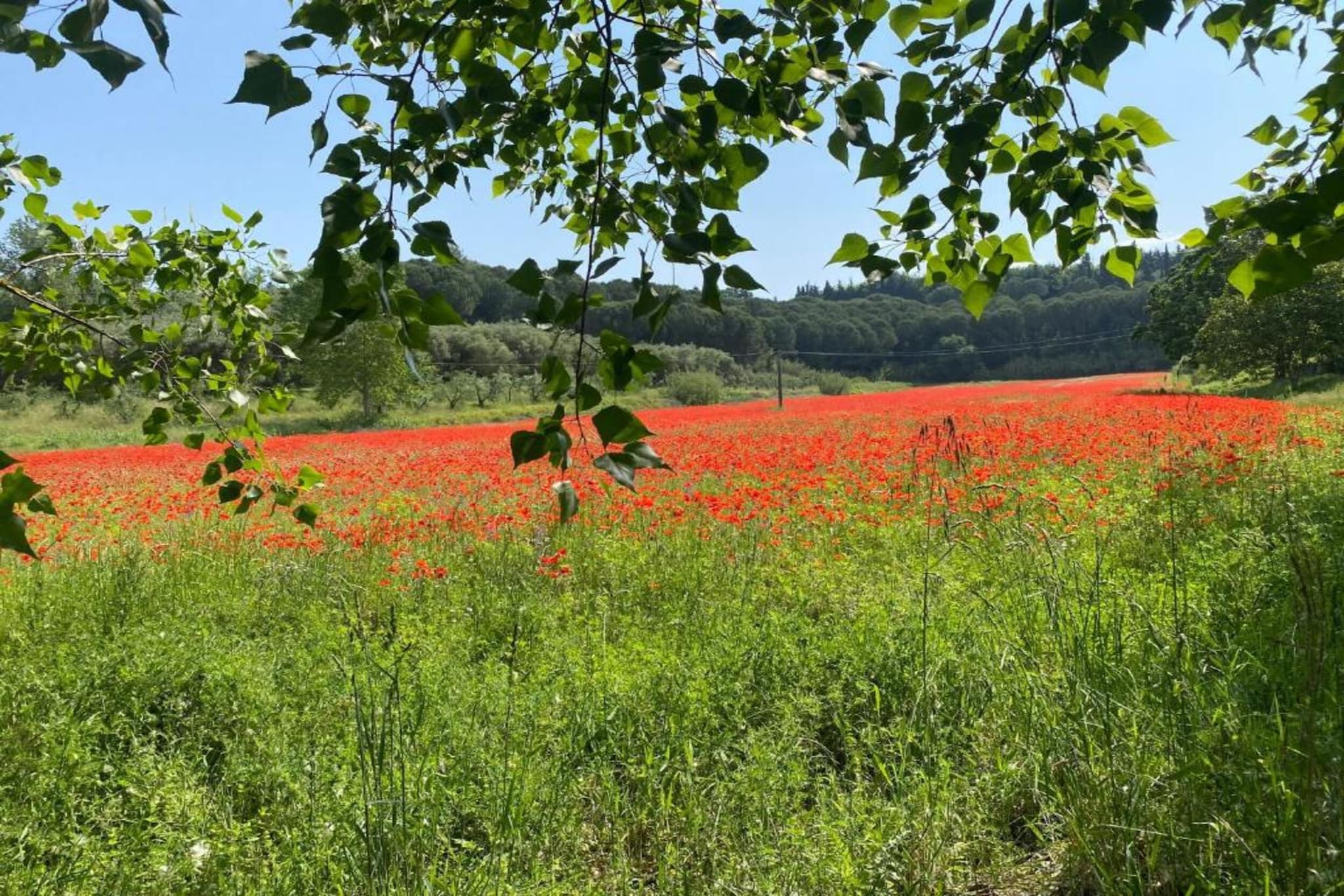 Villa Giuditta Otto-Gebieden zomer 5km