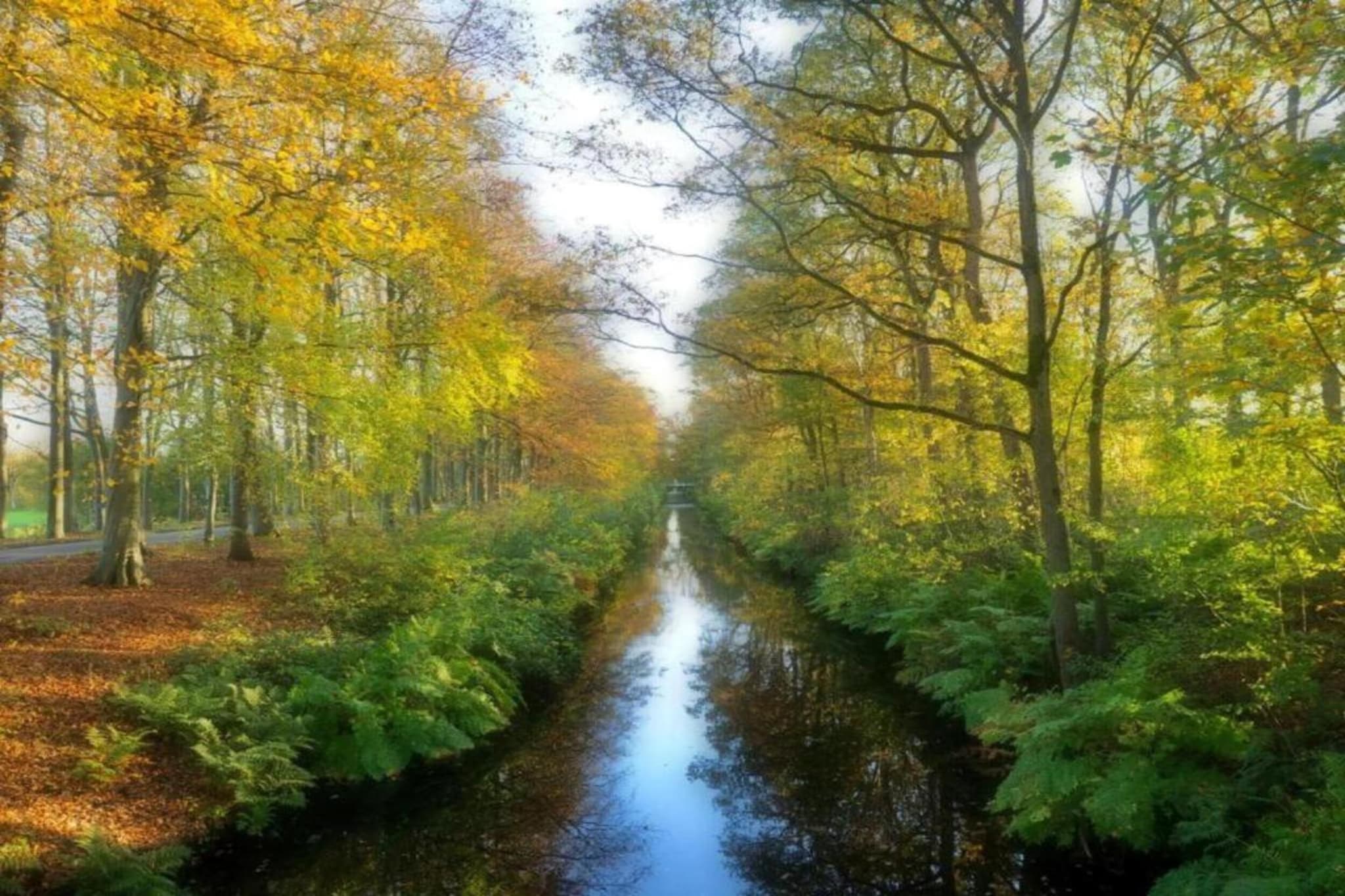 Docklodge 34-Gebiete Sommer 5 km