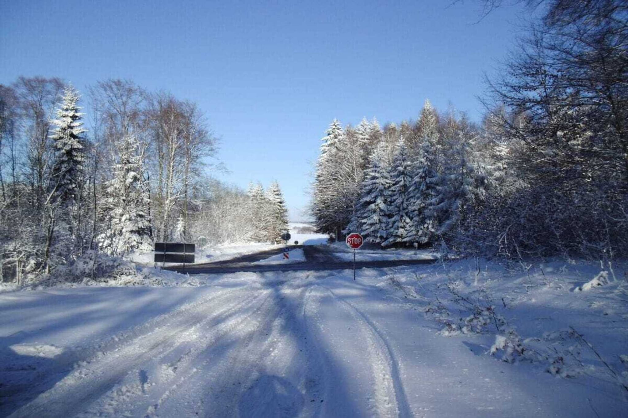 346255-Gebied winter 1km