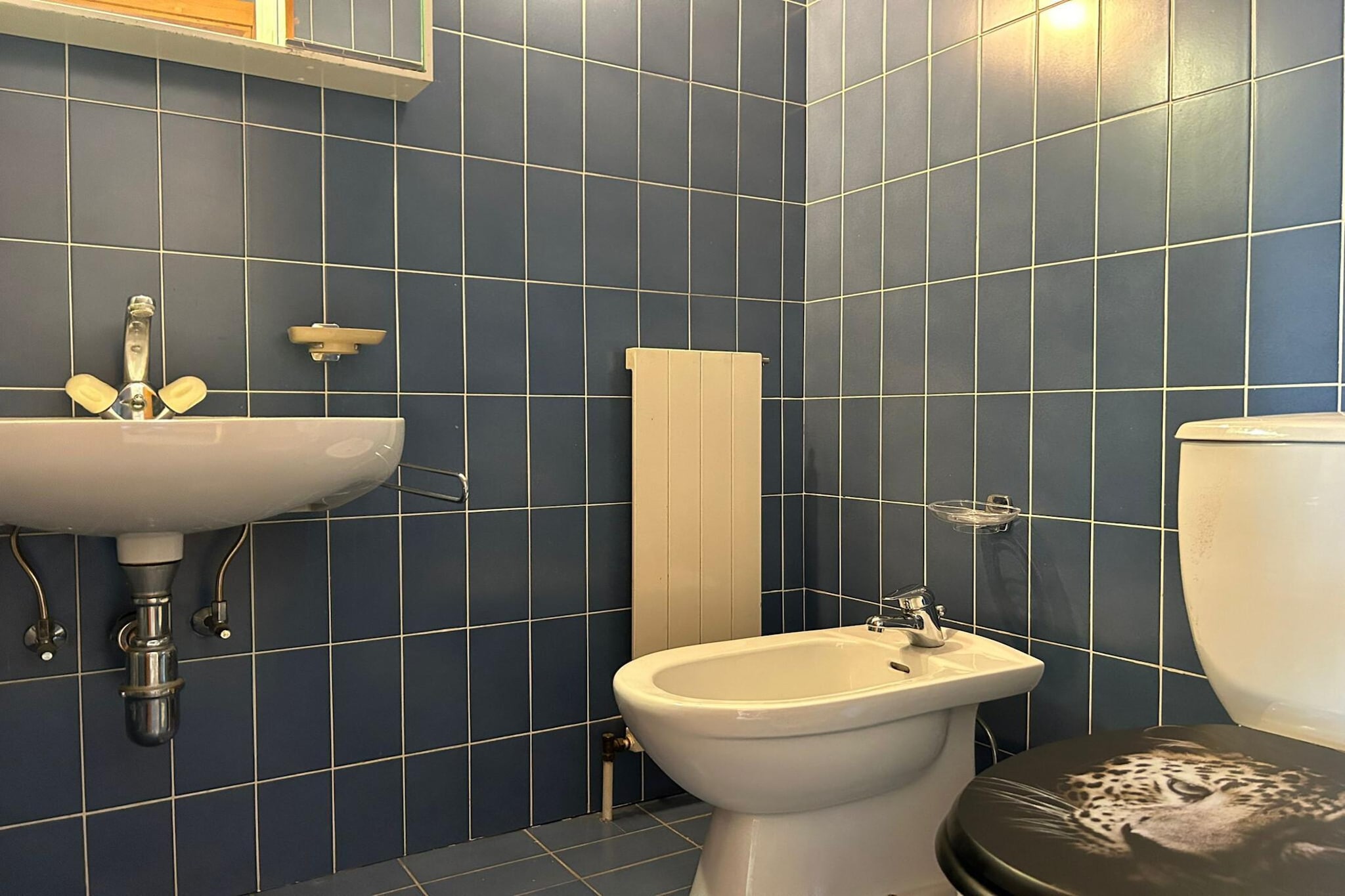 Diablerets D 012 -MOUNTAIN studio 4 pers-Salle de bain
