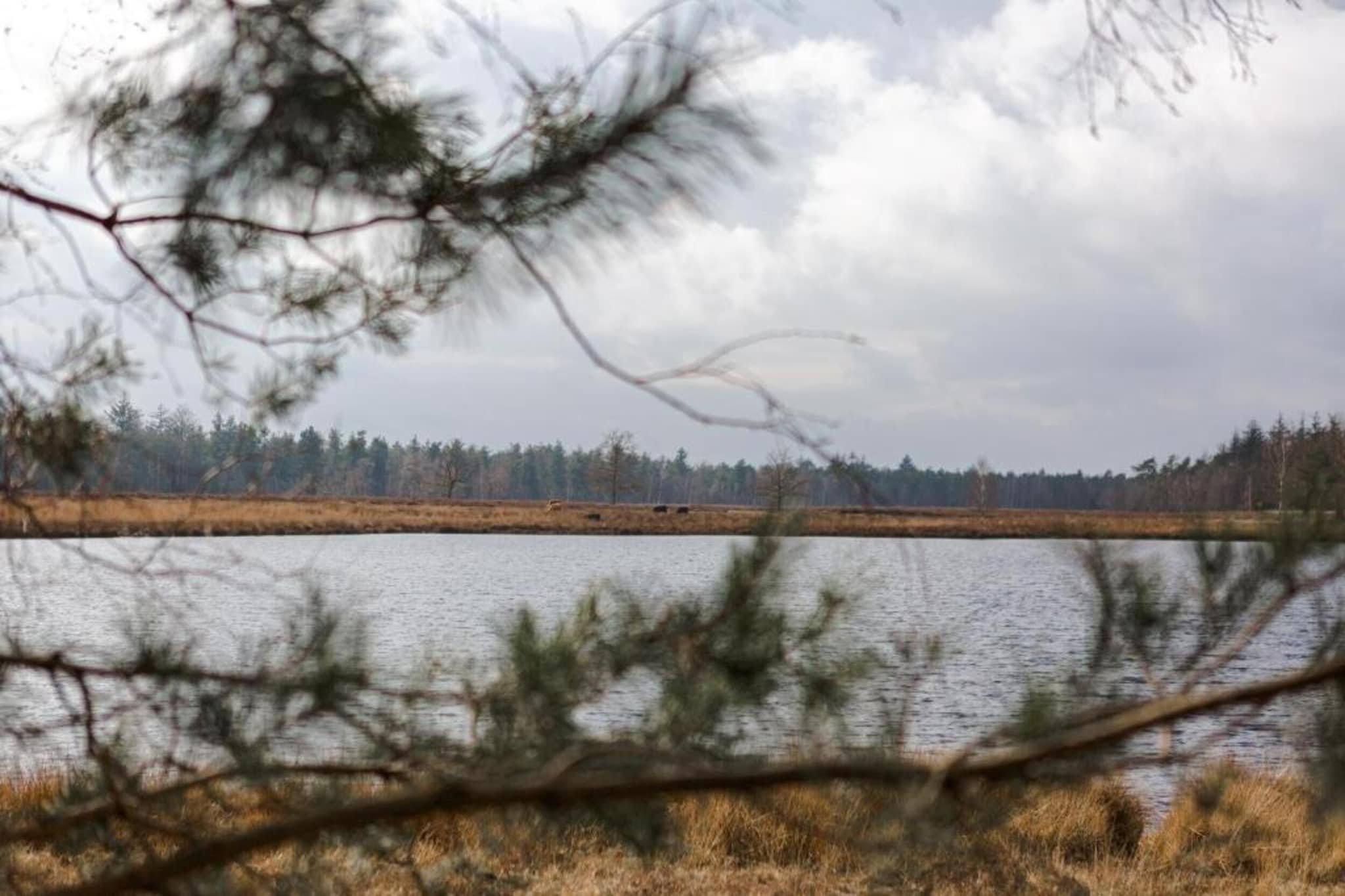 Dorpswoning Op Niveau 4-Gebiete Sommer 20 km