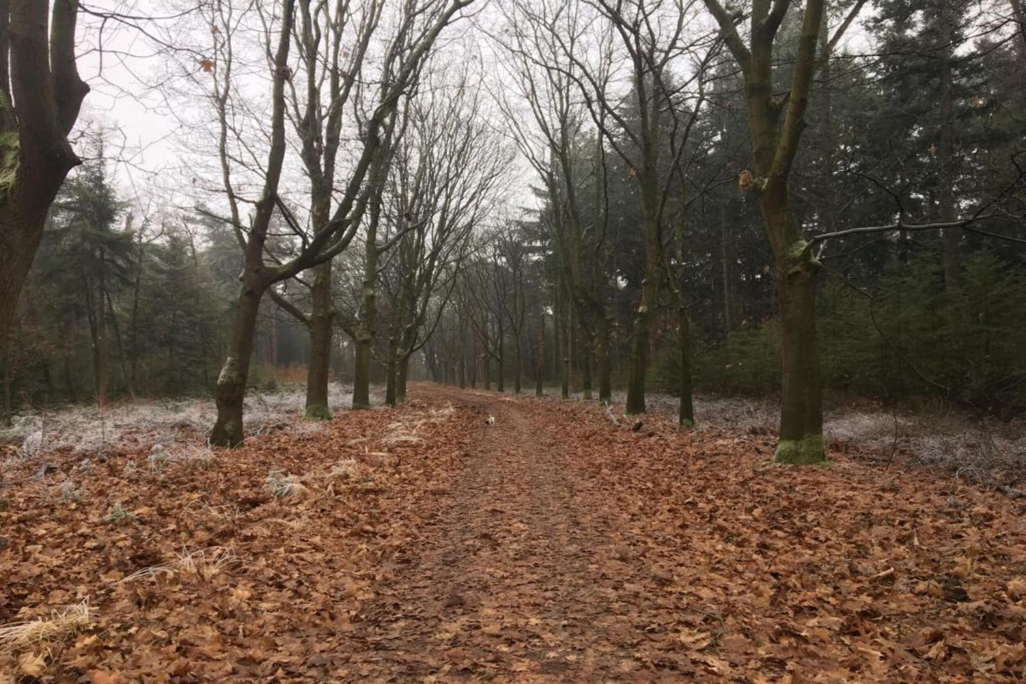 Dorpswoning Op Niveau 4-Gebiete Sommer 20 km