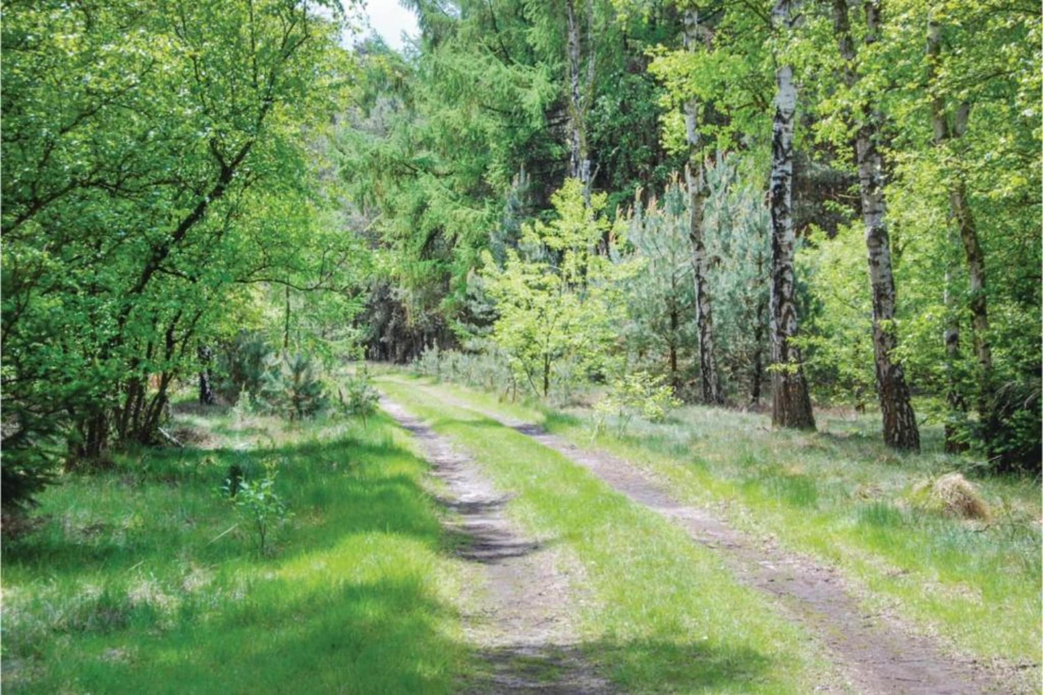 Dorpswoning Op Niveau 4-Gebiete Sommer 20 km