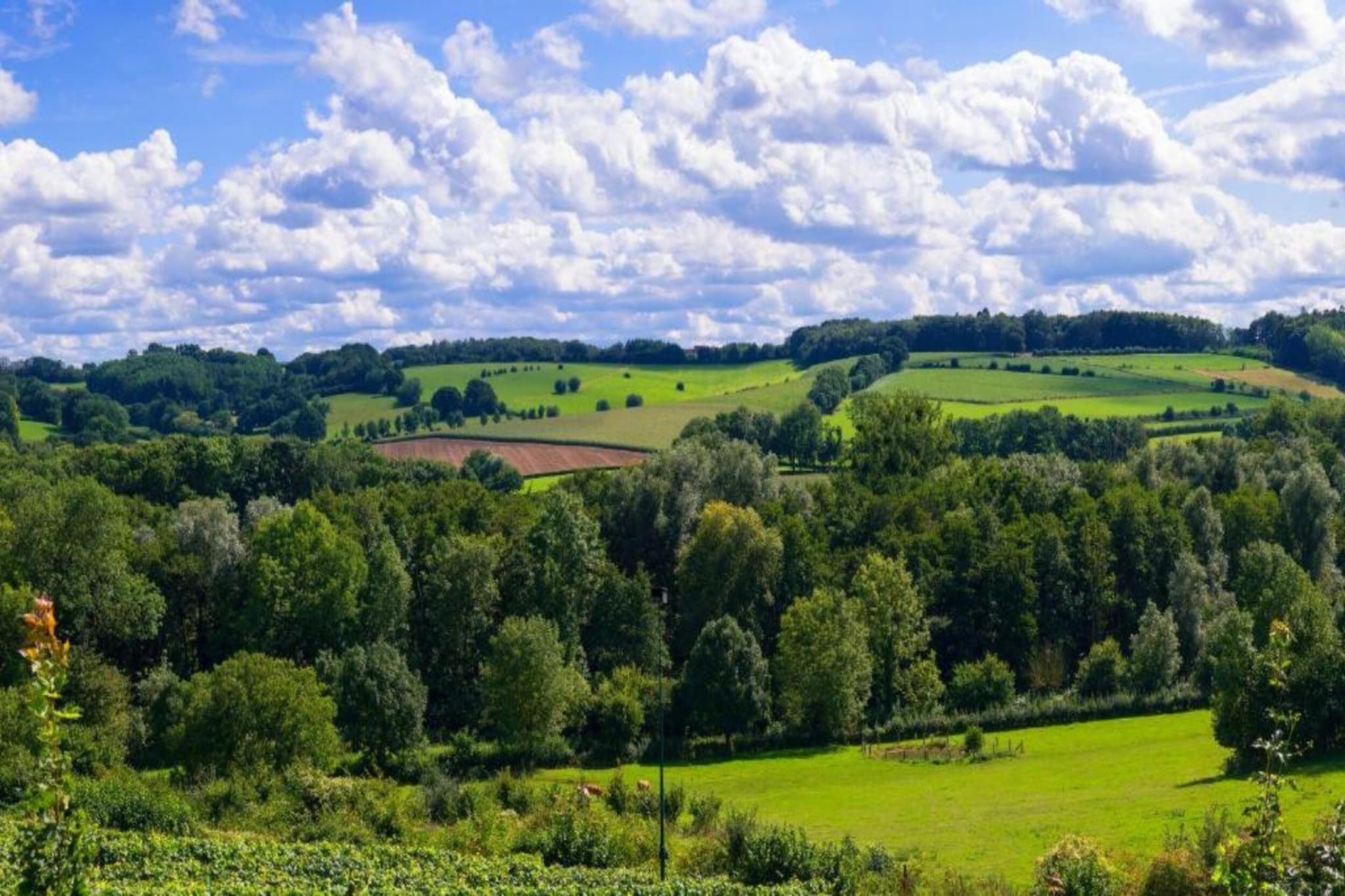 Dorpswoning Op Niveau 4-Gebiete Sommer 20 km