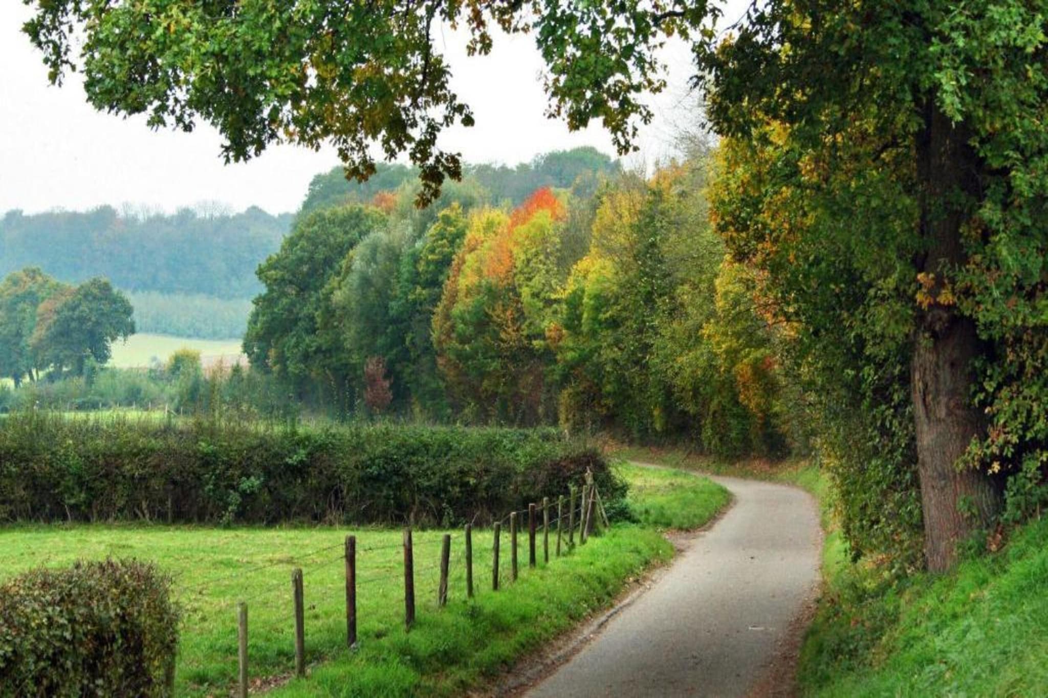 Dorpswoning Op Niveau 4-Gebiete Sommer 20 km