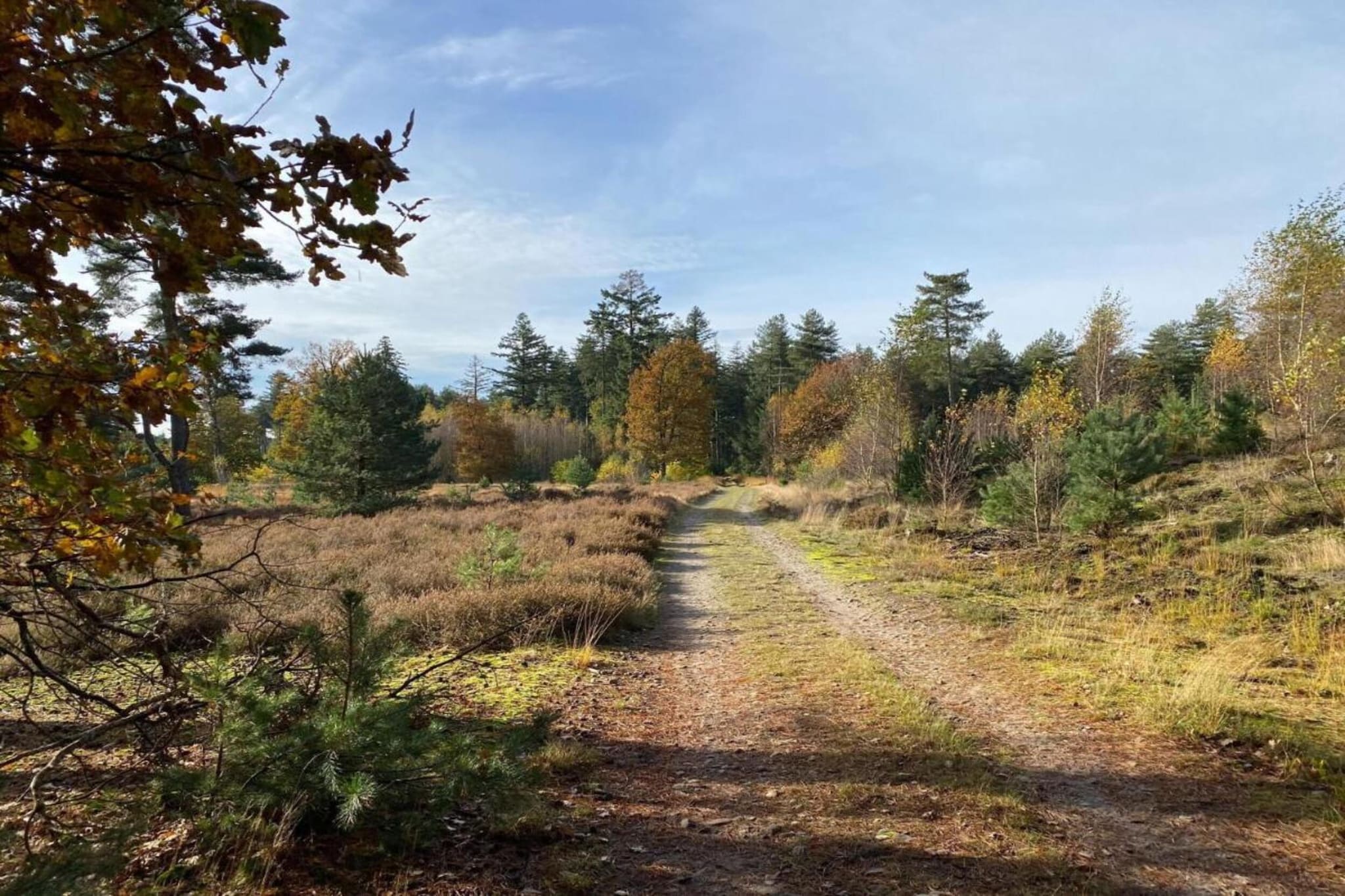 Dorpswoning Op Niveau 4-Gebiete Sommer 20 km