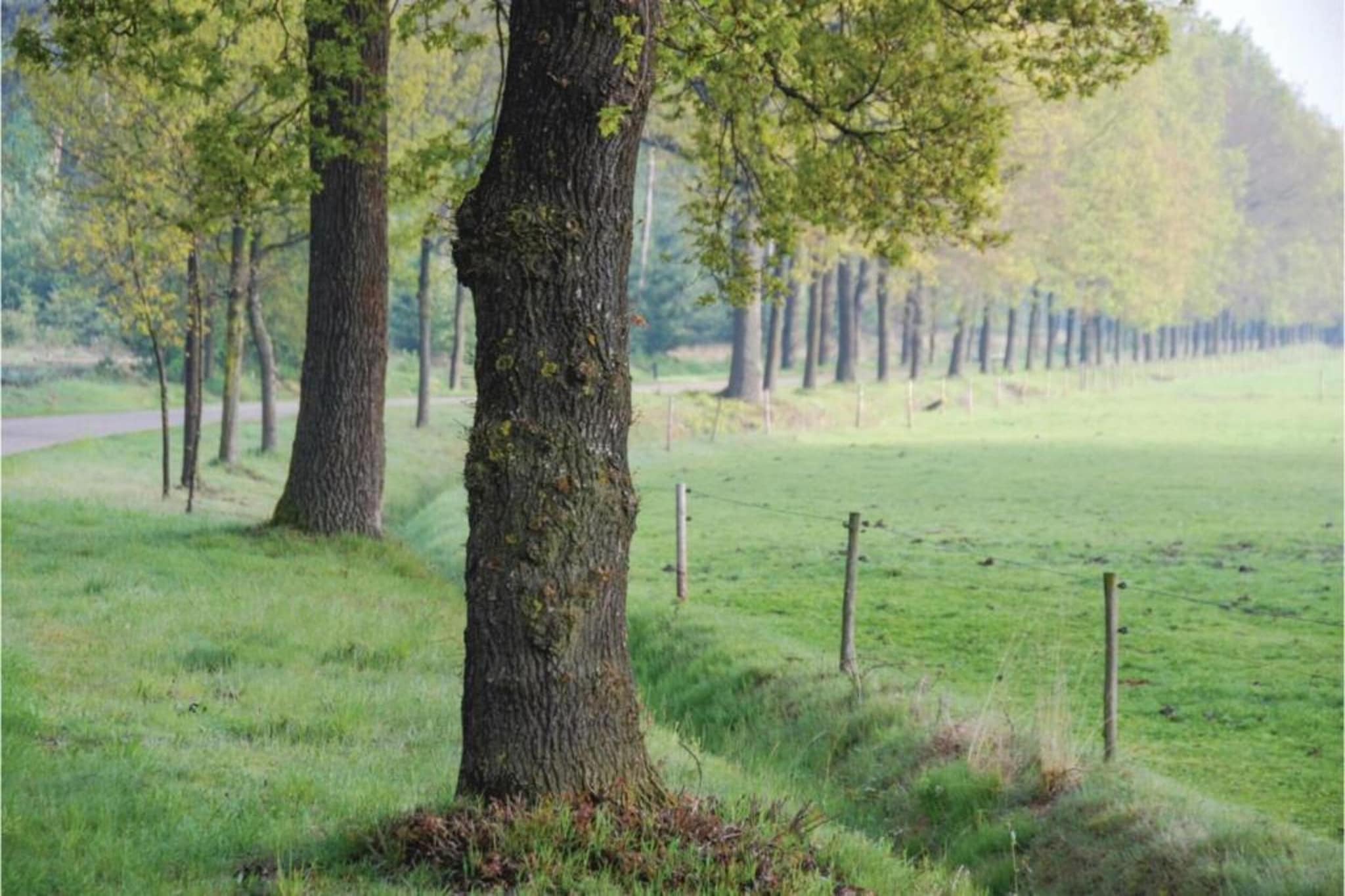 Dorpswoning Op Niveau 4-Gebiete Sommer 20 km