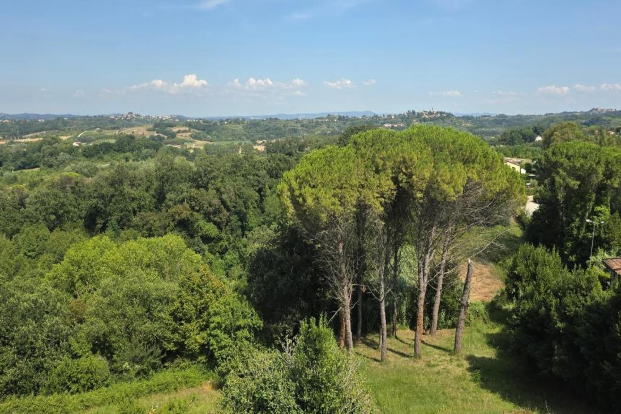 Giudy Quattro-Gebieden zomer 5km