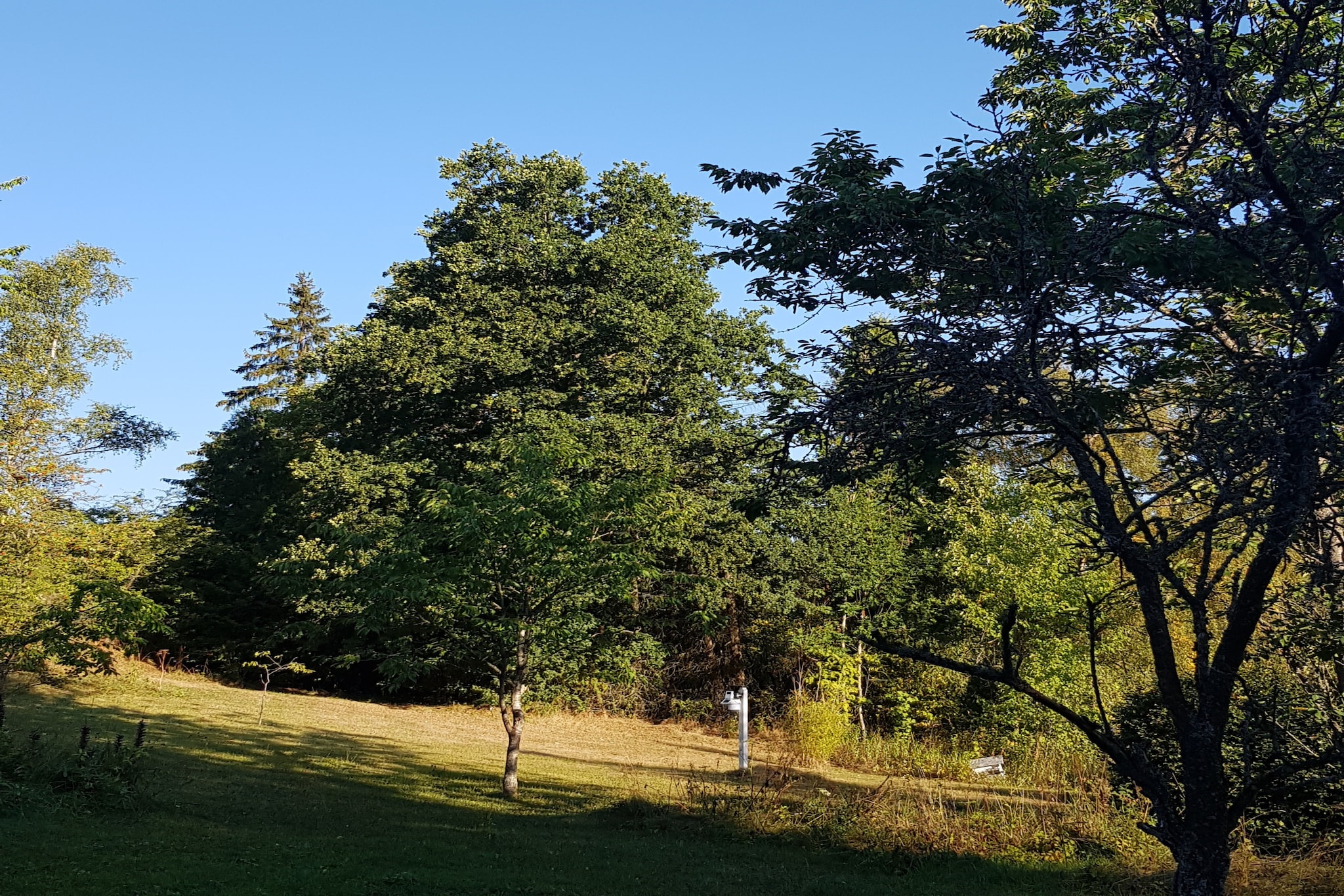 Weidenhäuser Mühle-Uitzicht zomer